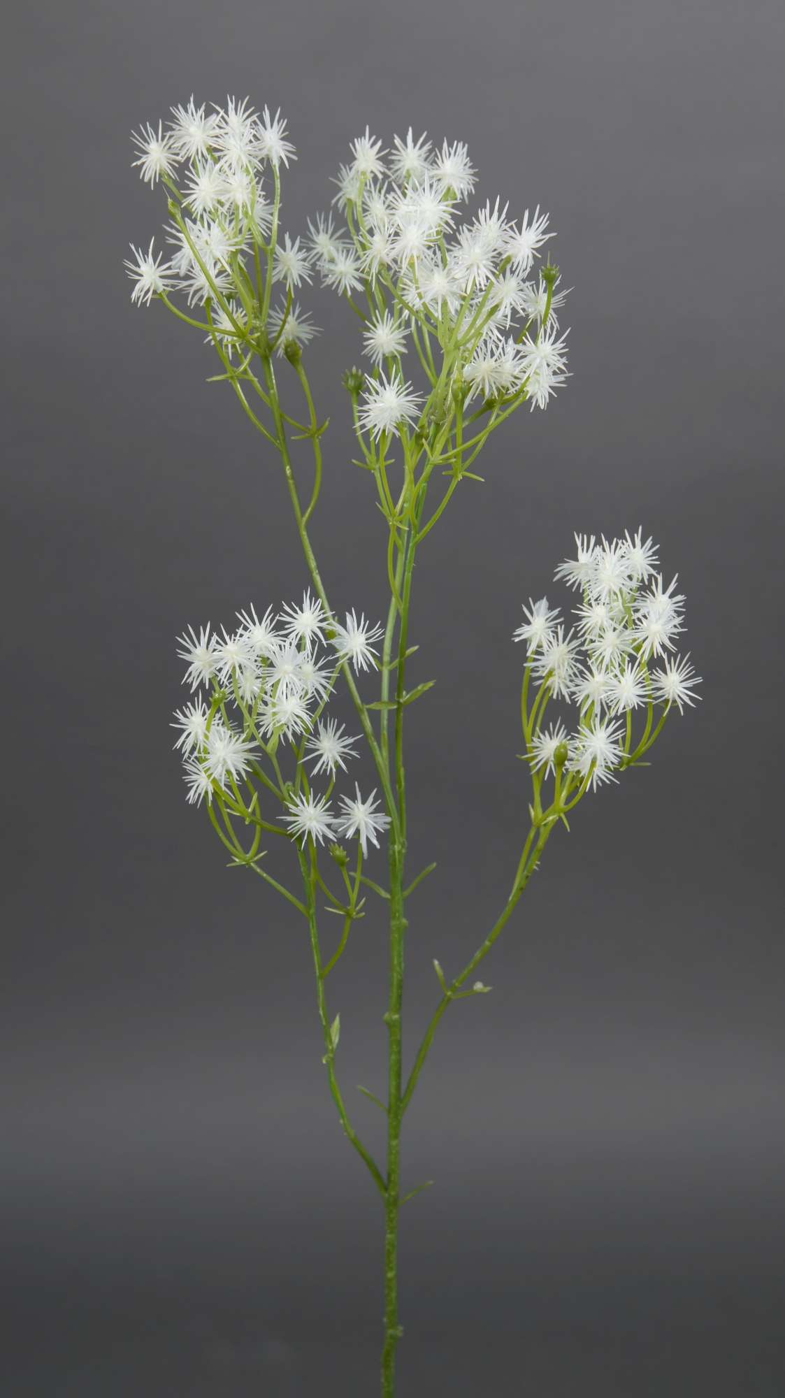 Klettenzweig 54cm weiß GA Kunstblumen künstliche Blumen