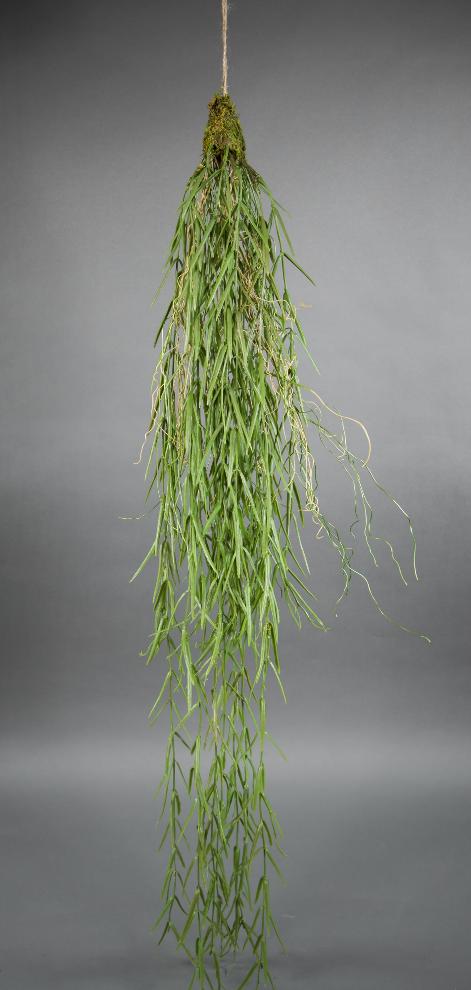 Wachsblumenhänger / Hoya-Hänger 95cm/120cm GA Kunstpflanzen künstliche Pflanzen Hoya Ranke
