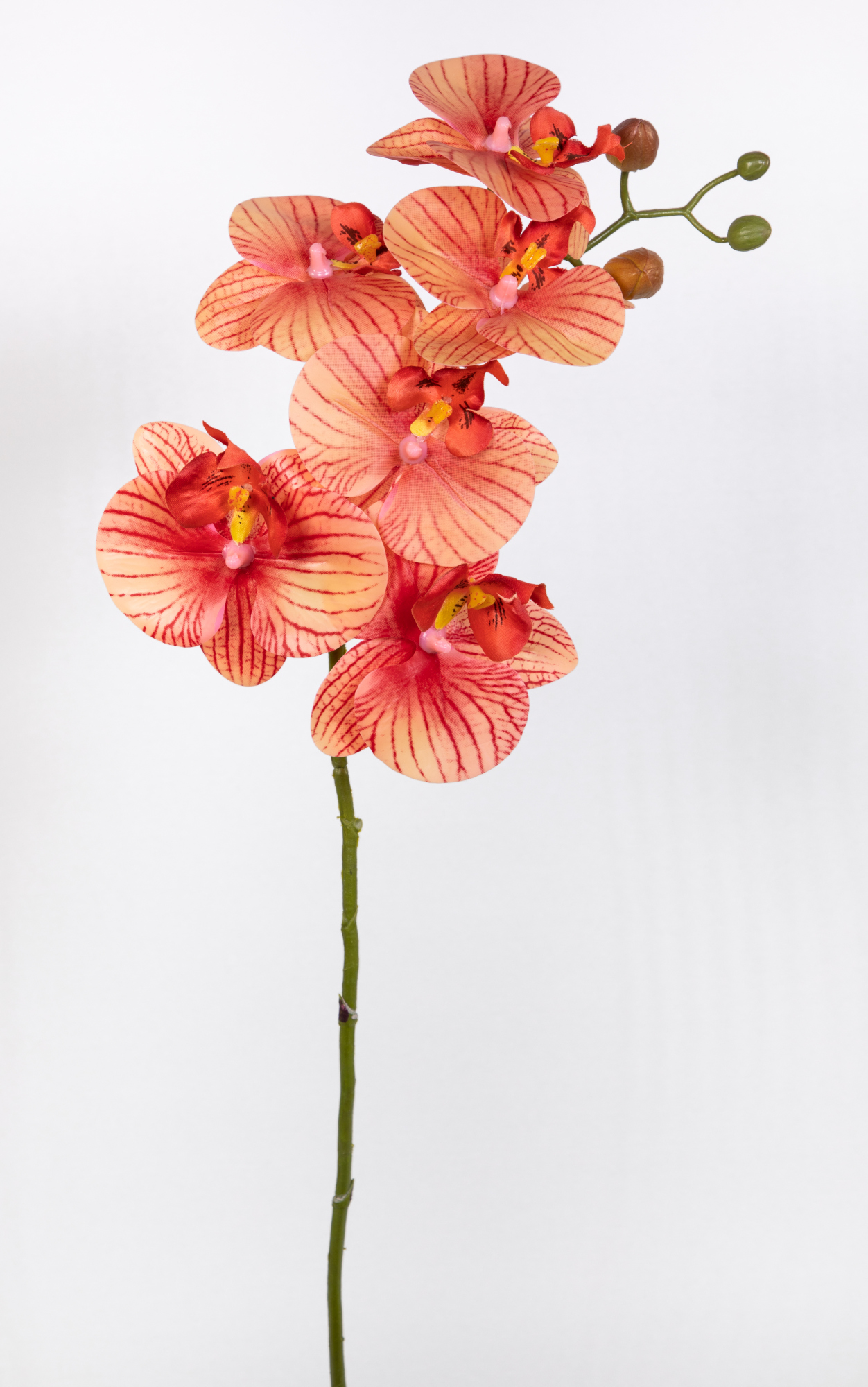Orchideenzweig Real Touch 70cm orange-peach CG Kunstblumen künstliche Orchidee Blumen Seidenblumen