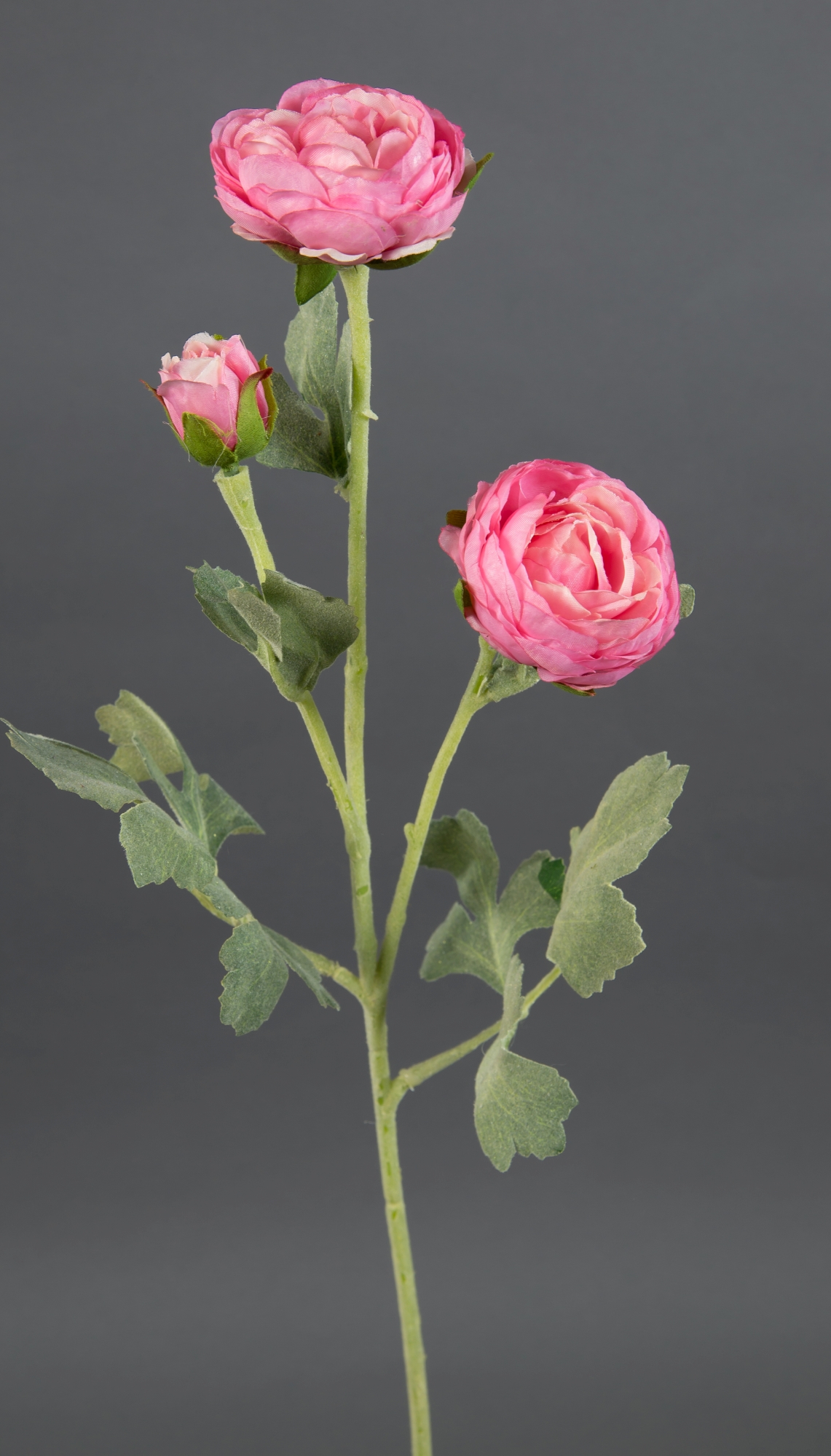 Ranunkelzweig 54cm rosa CG Kunstblumen künstliche Blumen Ranunkel