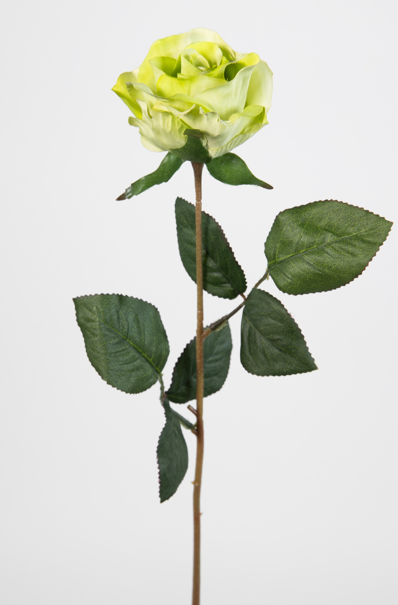Seidenblumen Blumen künstliche grün Rose 45cm Rose LM Rosen Kunstblumen