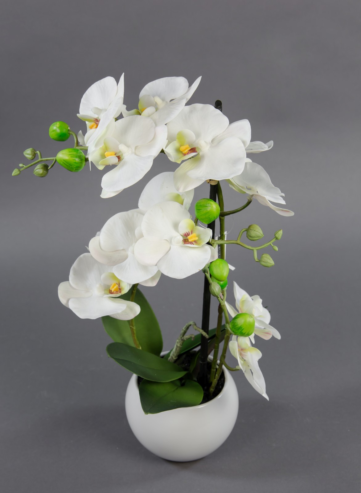 Orchidee Real Touch 50x20cm weiß in weißer Keramikvase GA Kunstblumen künstliche Blumen