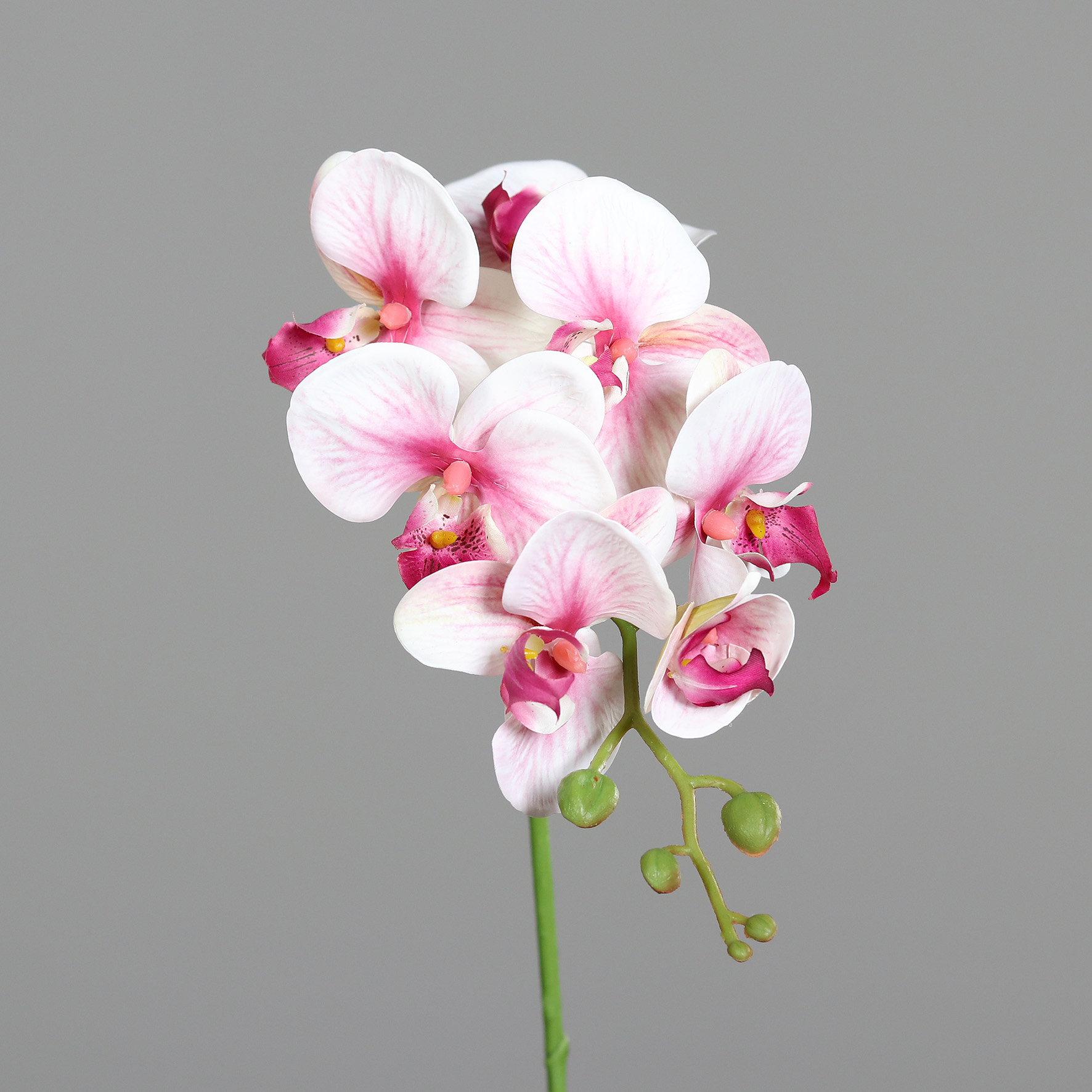 Orchideenzweig Real Touch 78cm pink-weiß DP Kunstblumen künstliche Orchidee Phalaenopsis Blumen