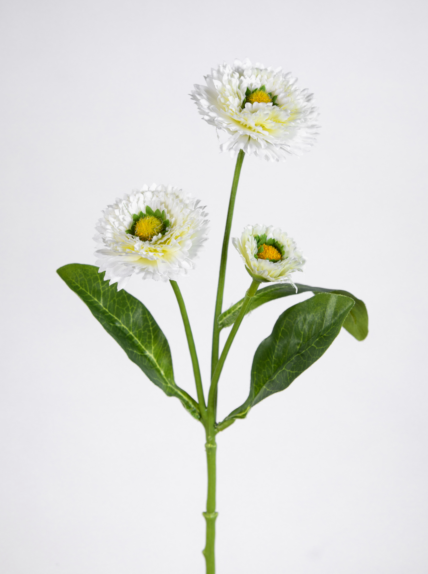 Bellis / Gänseblümchen 36cm weiß FT Kunstblumen künstliches Belliszweig Blumen Seidenblumen