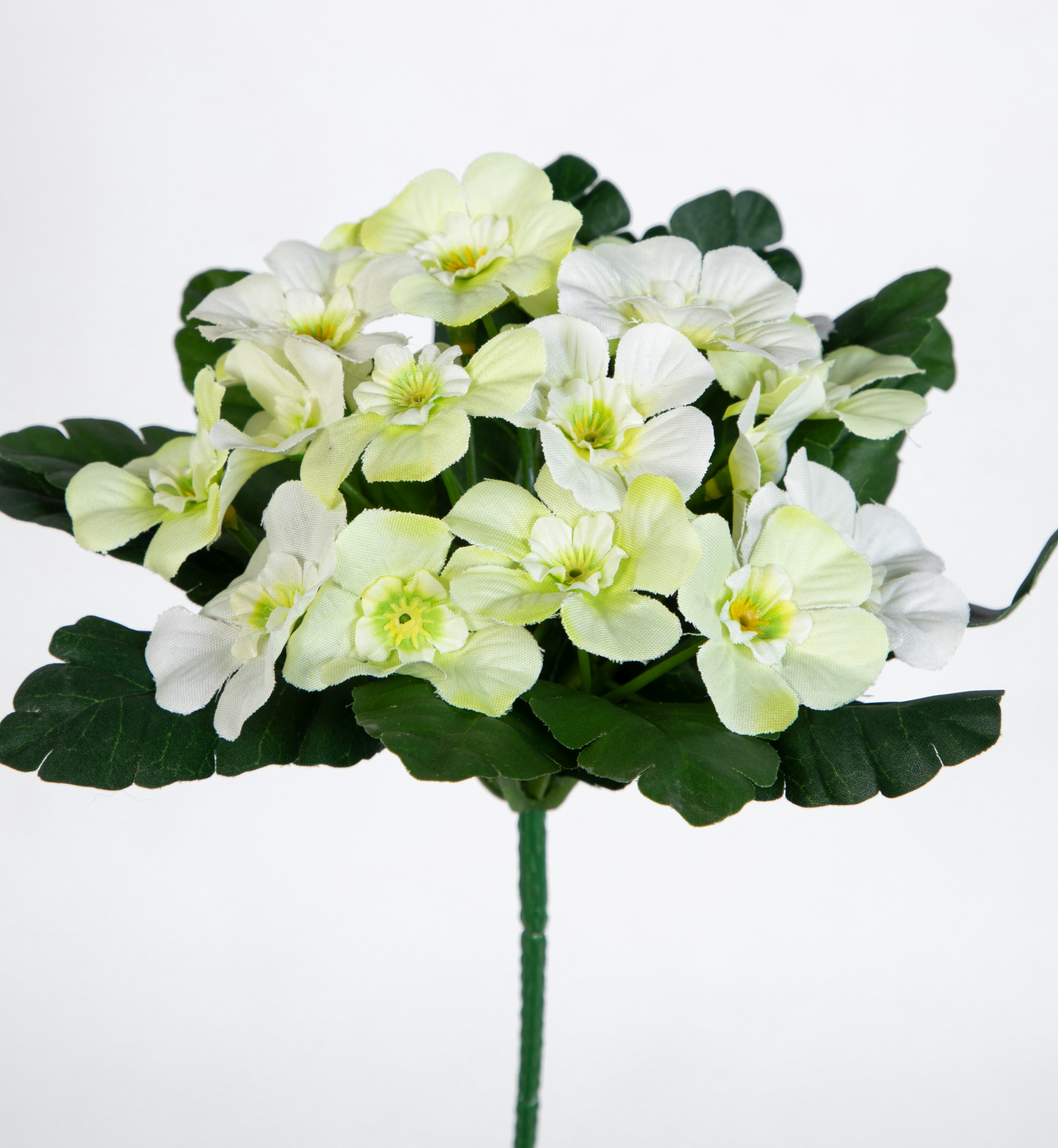 Primelbusch 24x22cm weiß mit 20 Blüten PM Kunstblumen Kunstpflanzen künstliche Primel Schlüsselblume