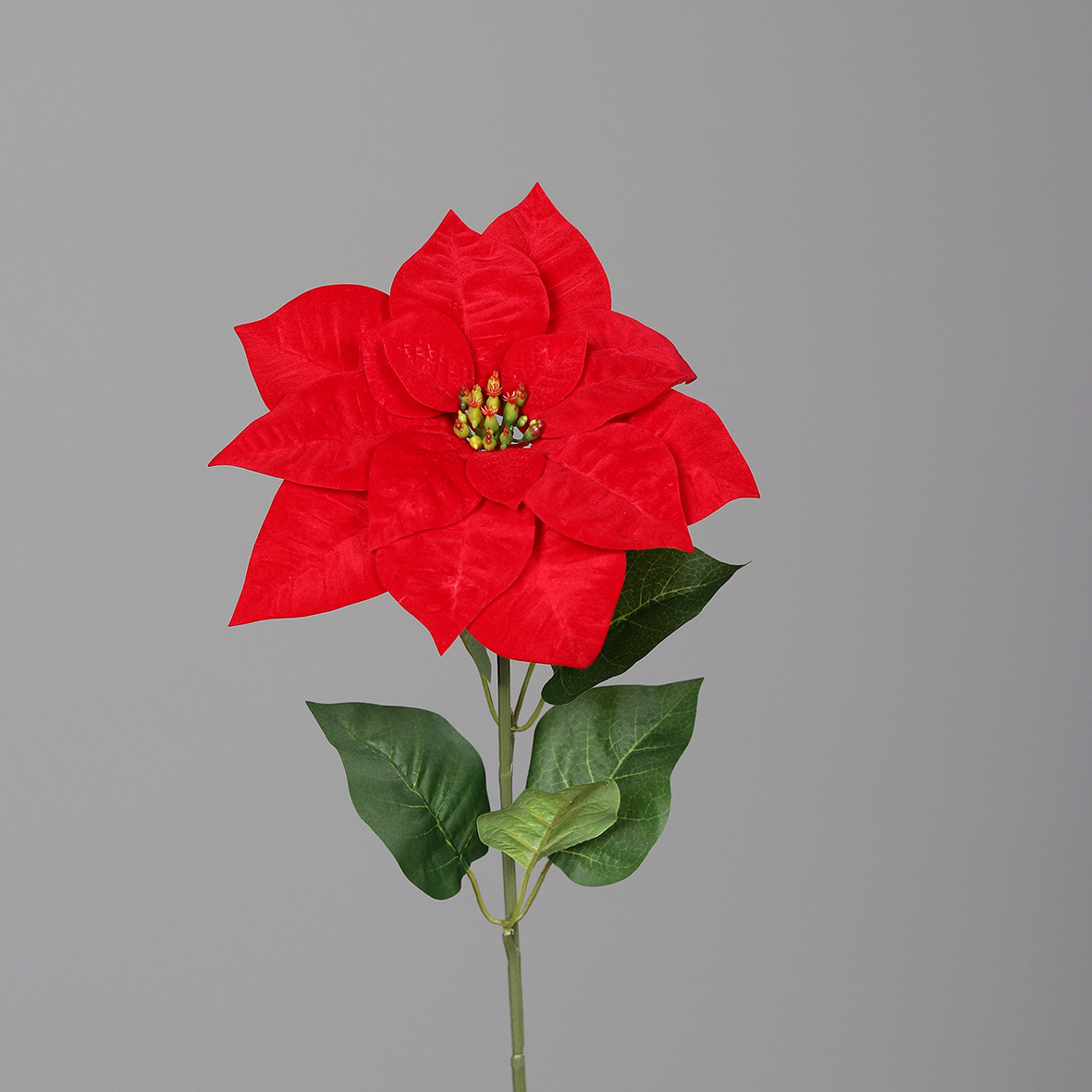 Samt - Weihnachtsstern / Poinsettie 68cm rot DP Kunstpflanzen künstliche Blumen Pflanzen