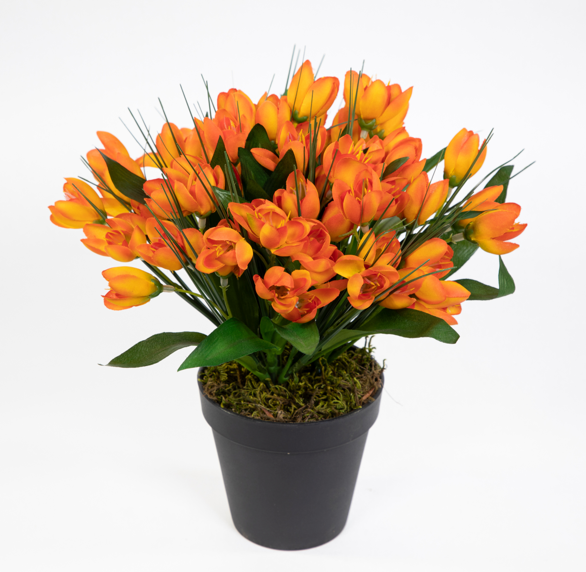 Krokusbusch 28cm orange im Topf PM Kunstpflanzen Kunstblumen künstlicher Crocus Krokus Blumen