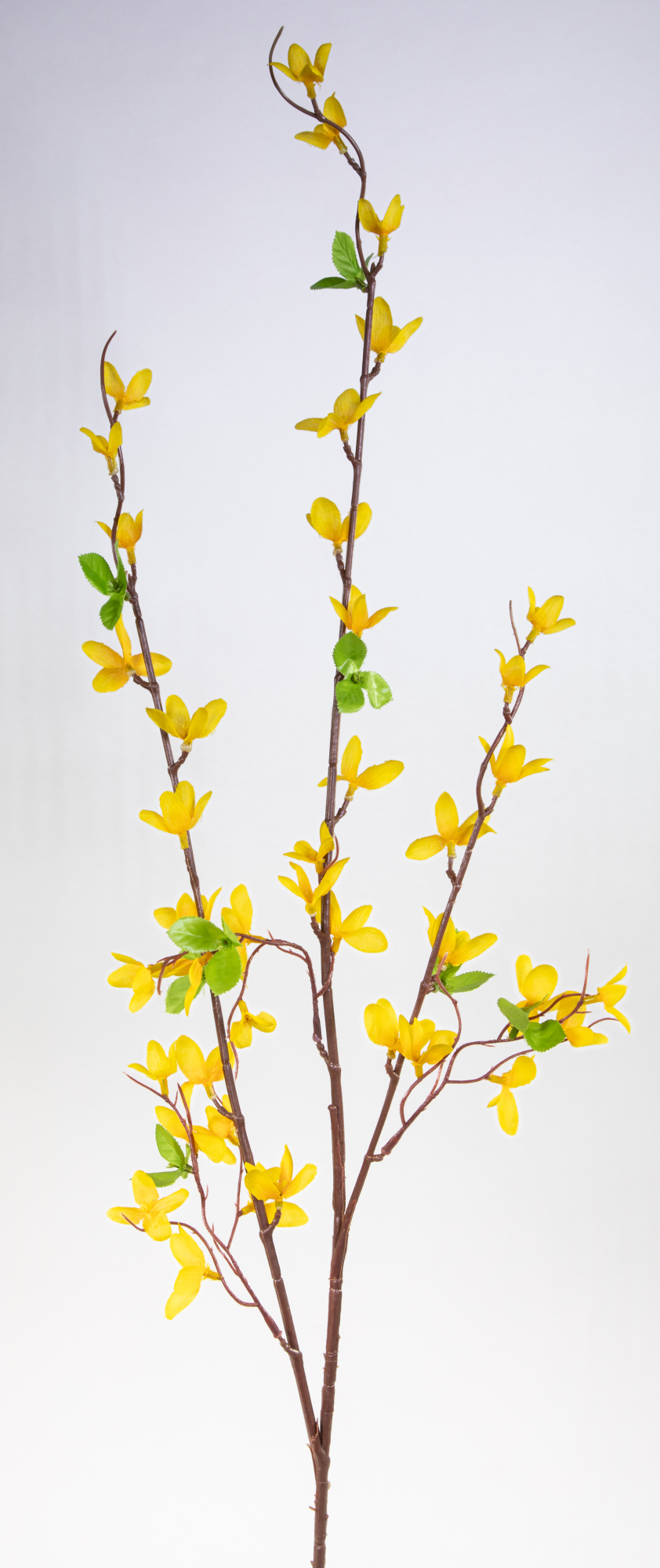 Forsythienzweig 105cm FI Kunstblumen künstliche Forsythie Goldflieder Goldglöckchen Blumen