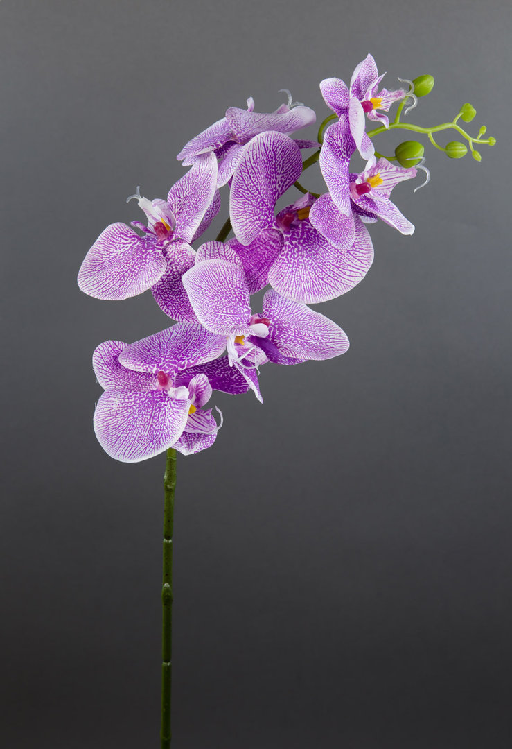Orchideenzweig 85cm lila-weiß DP Kunstblumen künstliche Orchidee Blumen Pflanzen Kunstpflanzen
