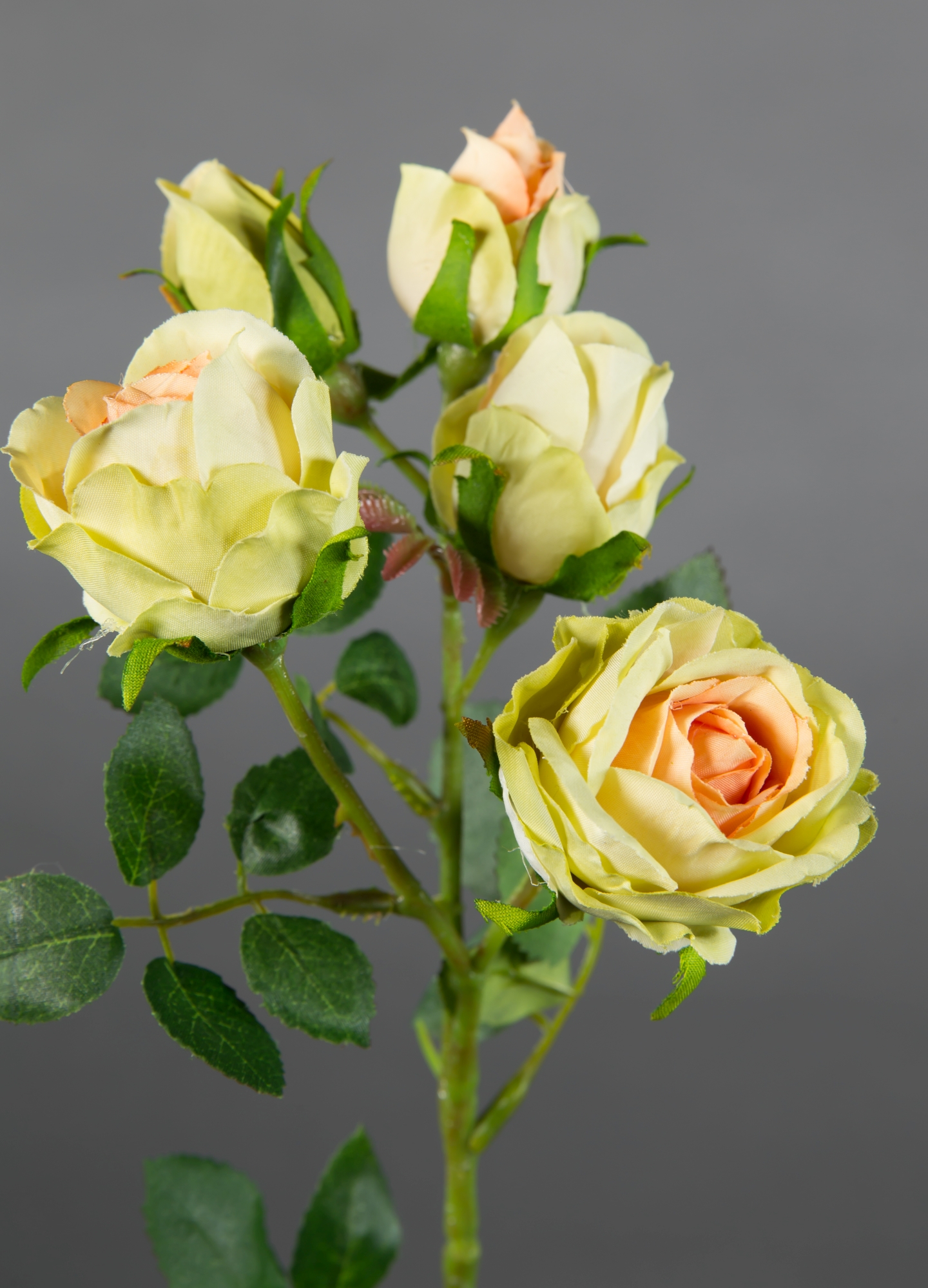 Rosenzweig 40cm creme-peach-grün GA Kunstblumen Seidenblumen künstliche  Rosen Rose