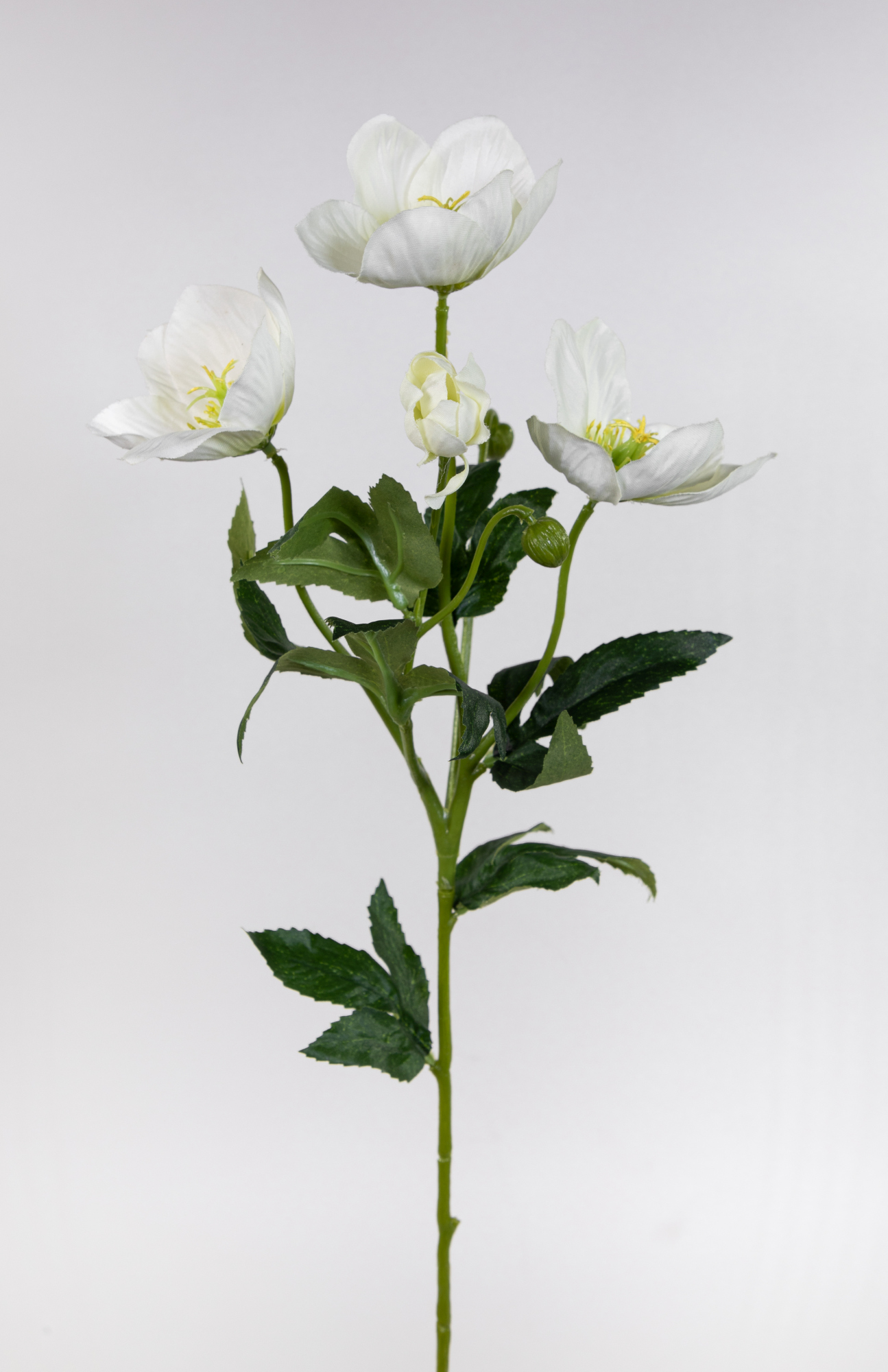 Christrose 62cm weiß PM Kunstblumen künstliche Christrose Blumen Helleborus