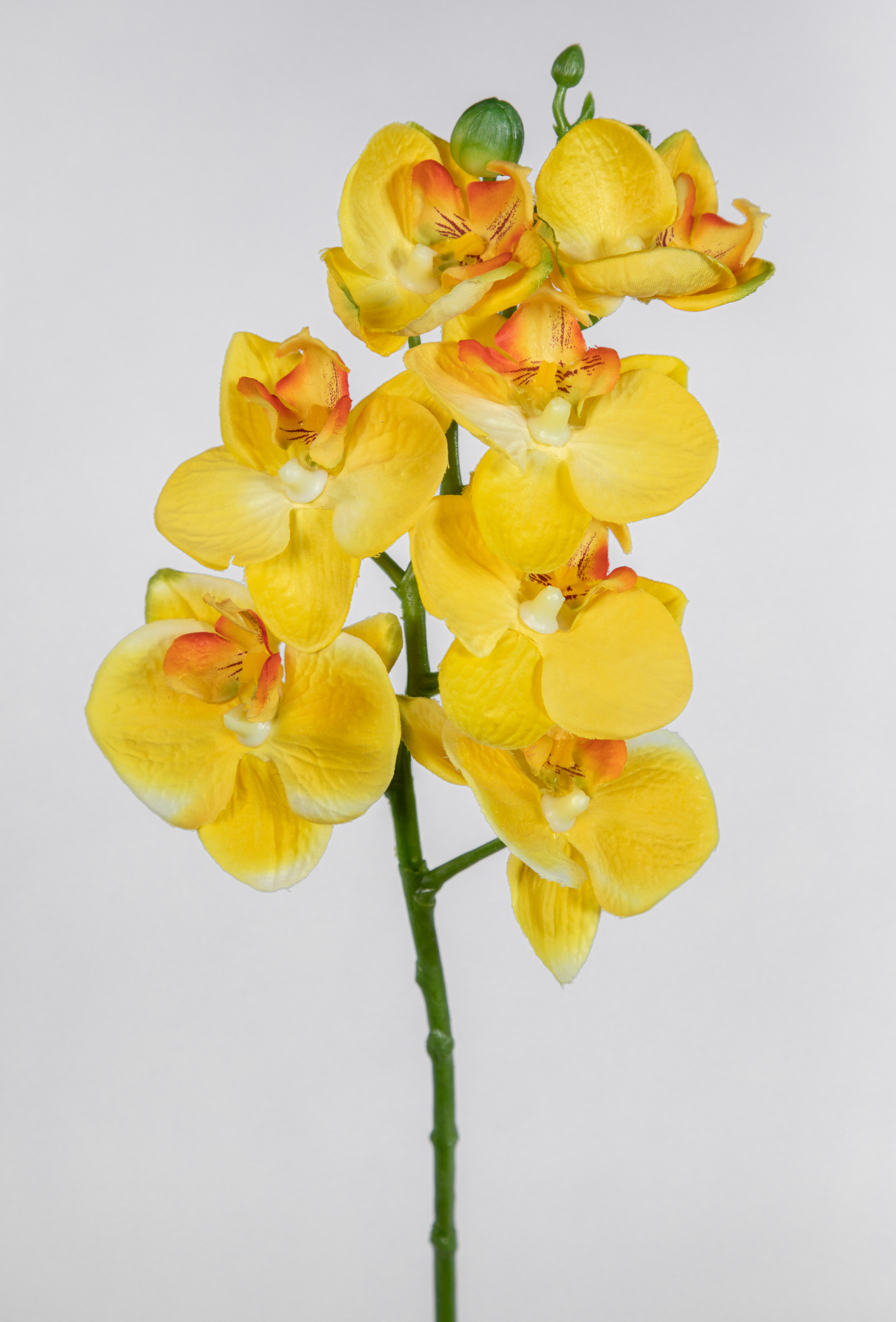 Orchideenzweig 52cm gelb FI Kunstblumen künstliche Orchidee Blumen Pflanzen Kunstpflanzen