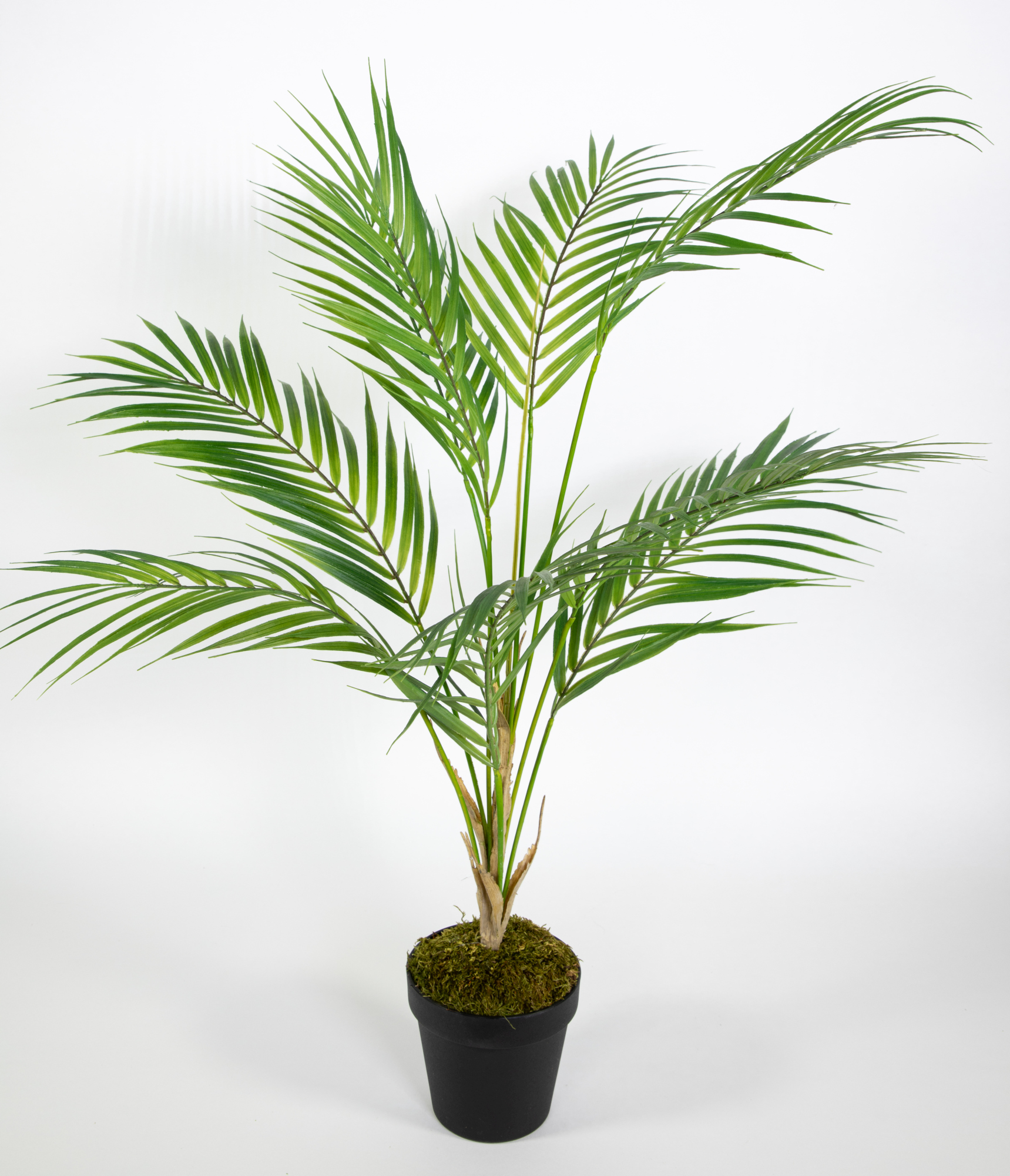Zimmerpalme 80cm im Topf CG Kunstpalme Dekopalme Kunstpflanzen künstliche Palme Arekapalme