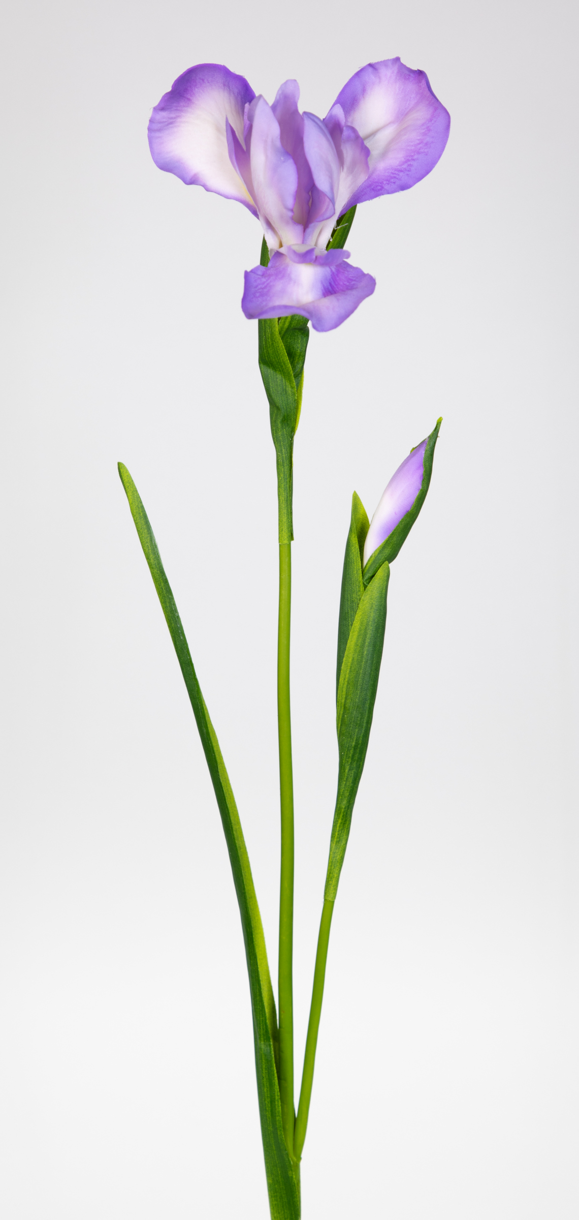 Schwertlilie / Iris 76cm lila CG Kunstblumen Dekoblumen künstliche Blumen Seidenblumen