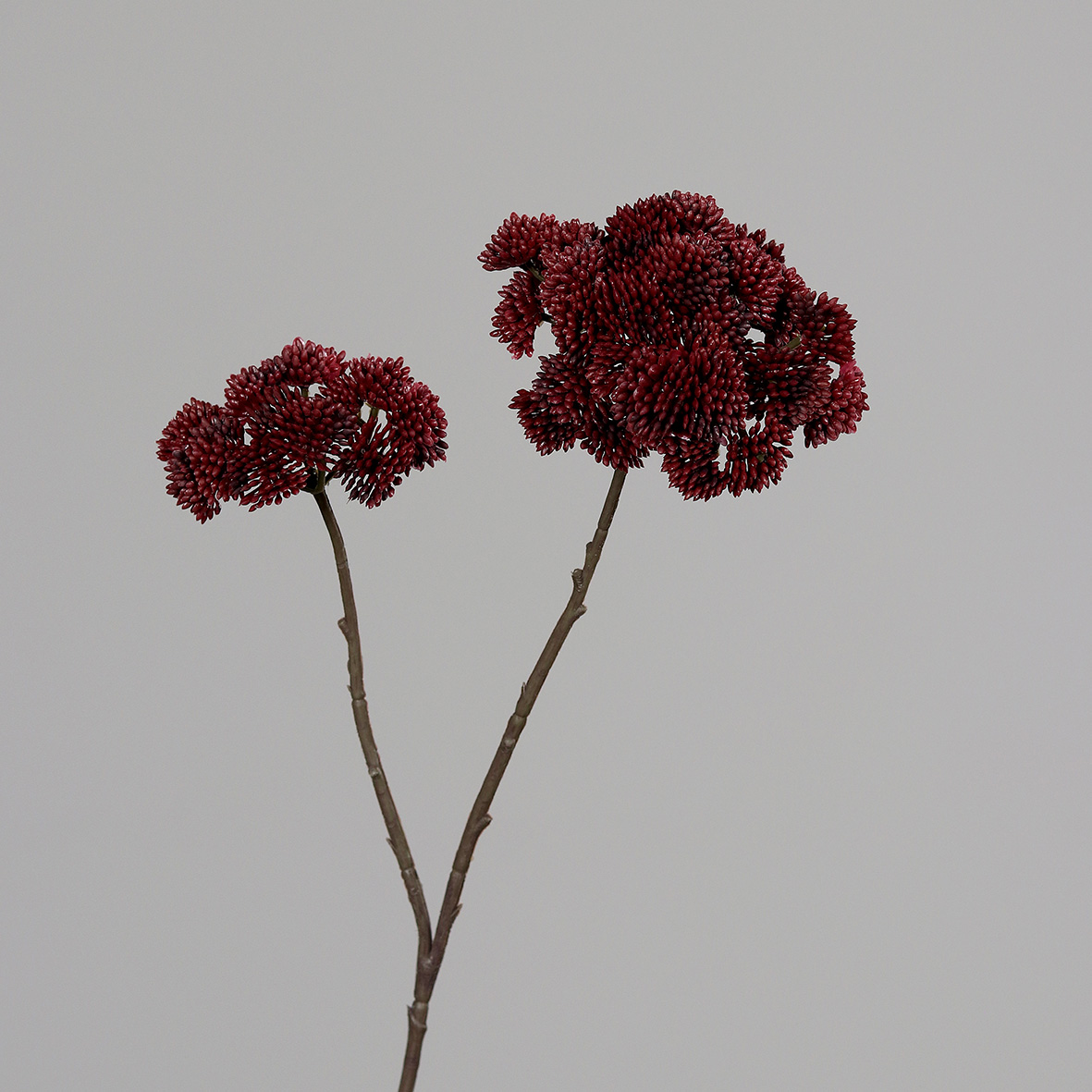 Anethumzweig / Dillzweig mit 2 Köpfen 68cm bordeaux DP Kunstblumen künstliche Blumen Dill Anethum