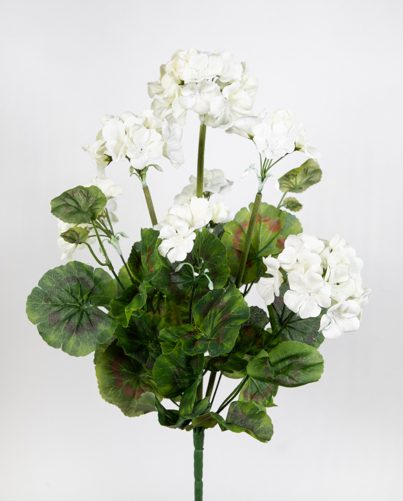 Geranie 45cm weiß -ohne Topf- JA Kunstpflanzen künstliche Pelargonium Blumen Pflanzen Kunstblumen