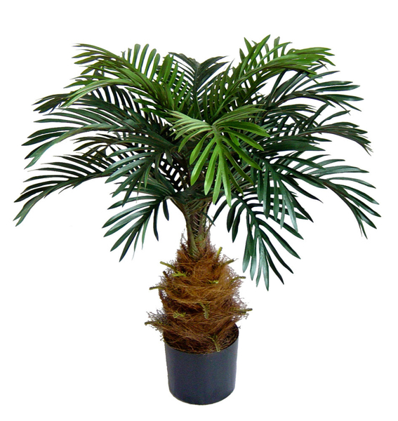 Cycaspalme 80cm DA Kunstpalmen Kunstpflanzen künstliche Palmen Cycas