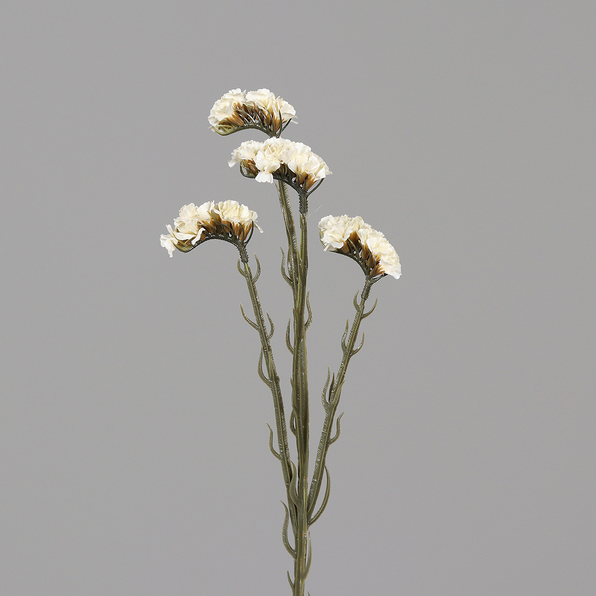 Statice Sinuata / Strandflieder 62cm weiß-creme DP Kunstblumen künstliche Blumen