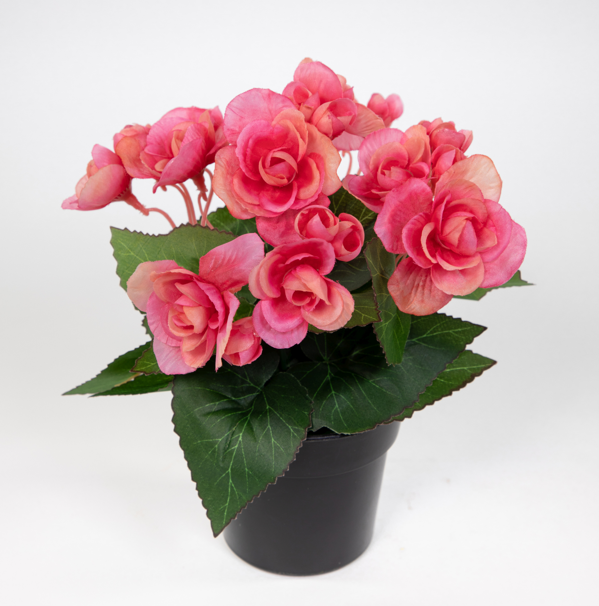 Begonie 20cm pink im Topf JA Kunstpflanzen Begonienbusch künstliche Blumen Pflanzen Kunstblumen