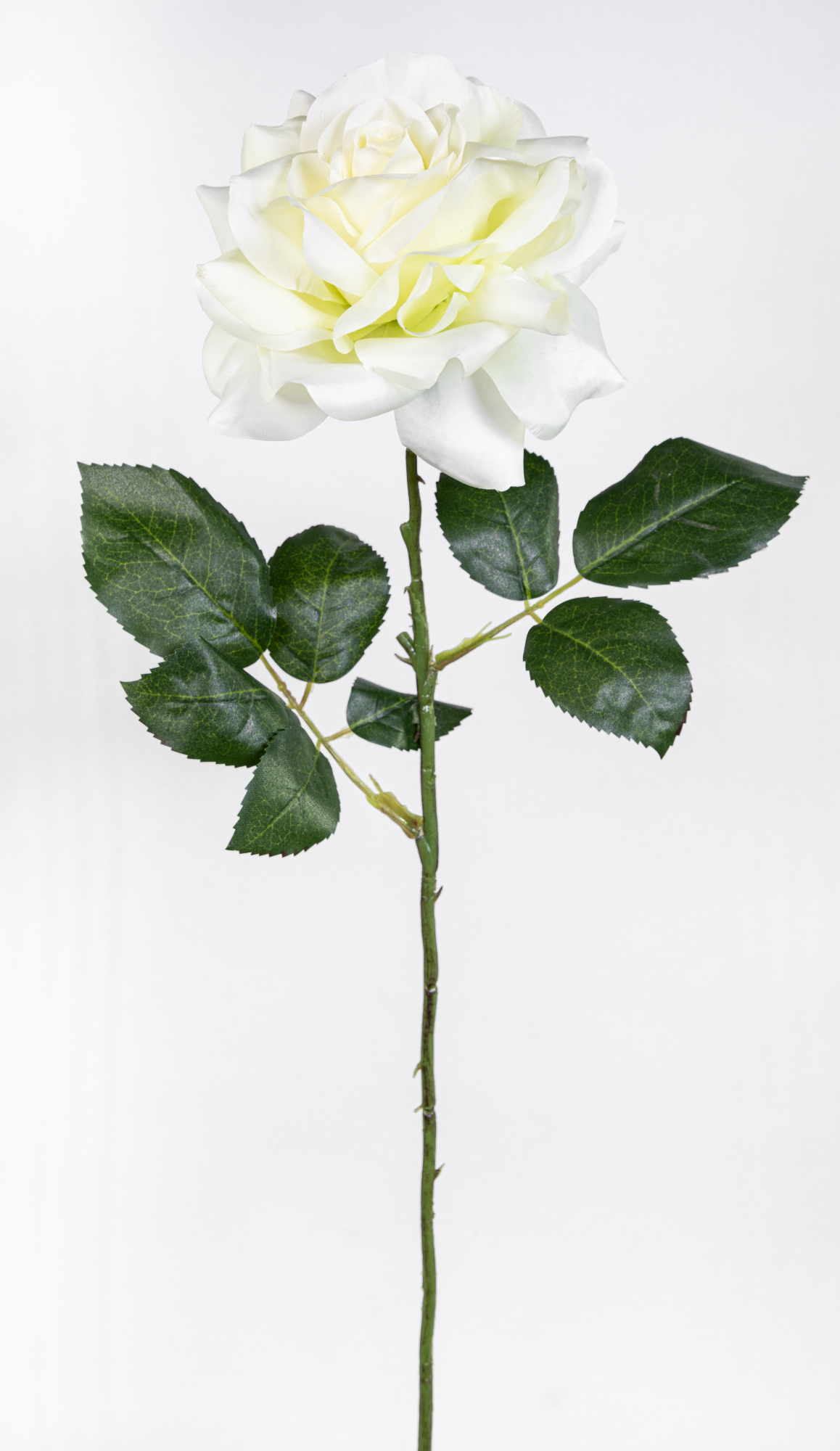 Große Rose Nature 66x14cm weiß CG Kunstblumen künstliche Rose Rosen Blumen Seidenblumen