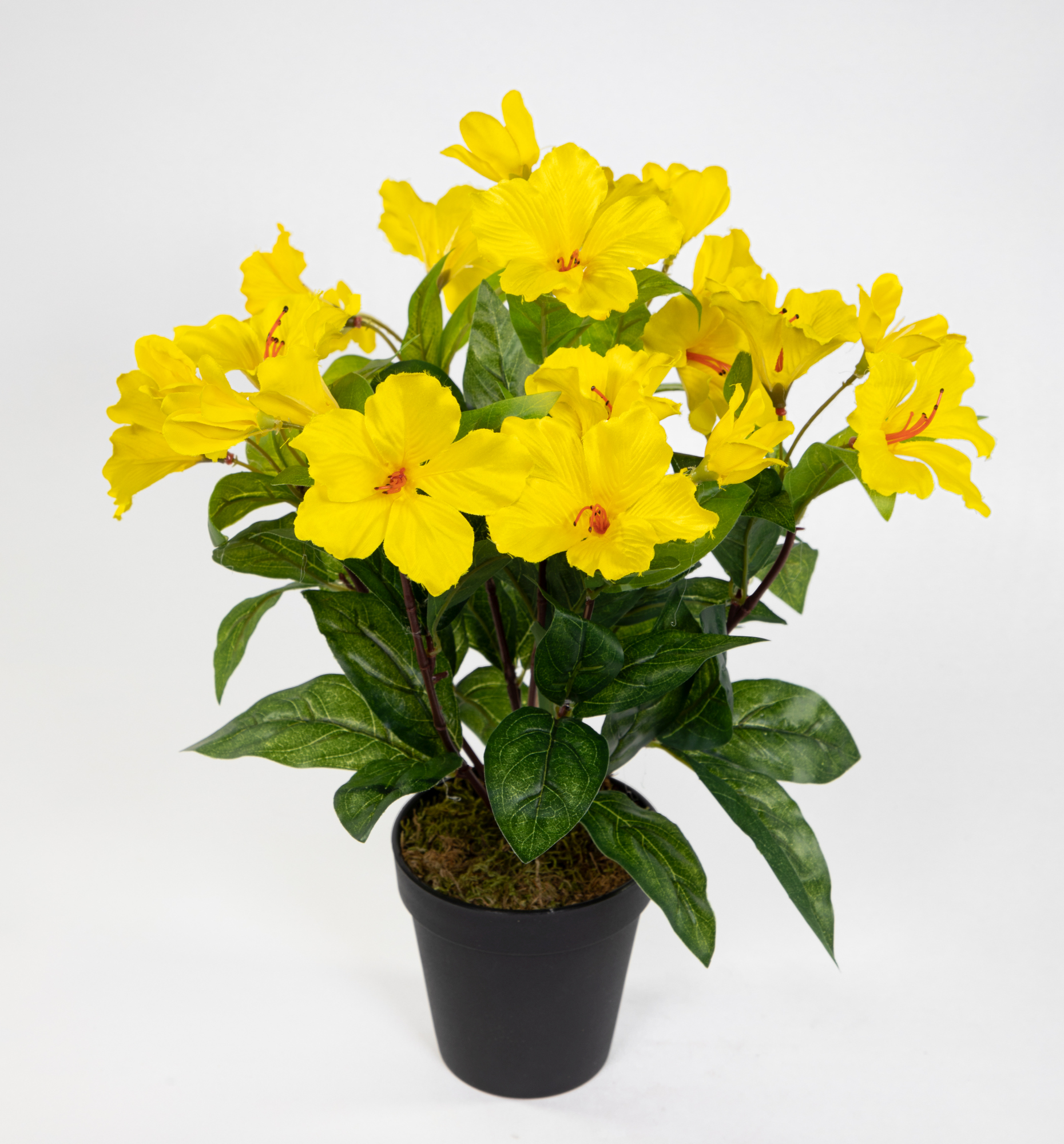 Hibiskus 40cm gelb im Topf ZF künstliche Pflanzen künstlicher Eibisch Kunstblumen Kunstpflanzen