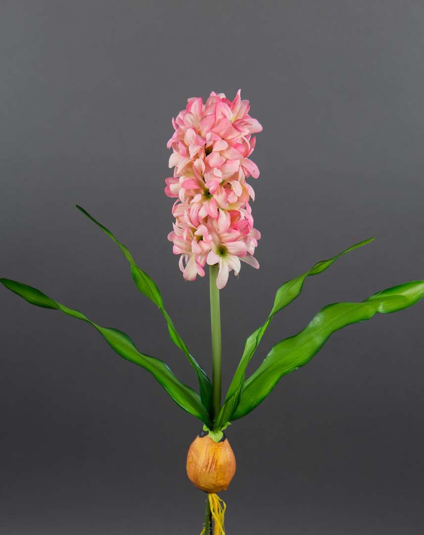 Hyazinthe mit Zwiebel 32cm rosa-pink PF künstliche Blumen Pflanzen Kunstpflanzen Kunstblumen