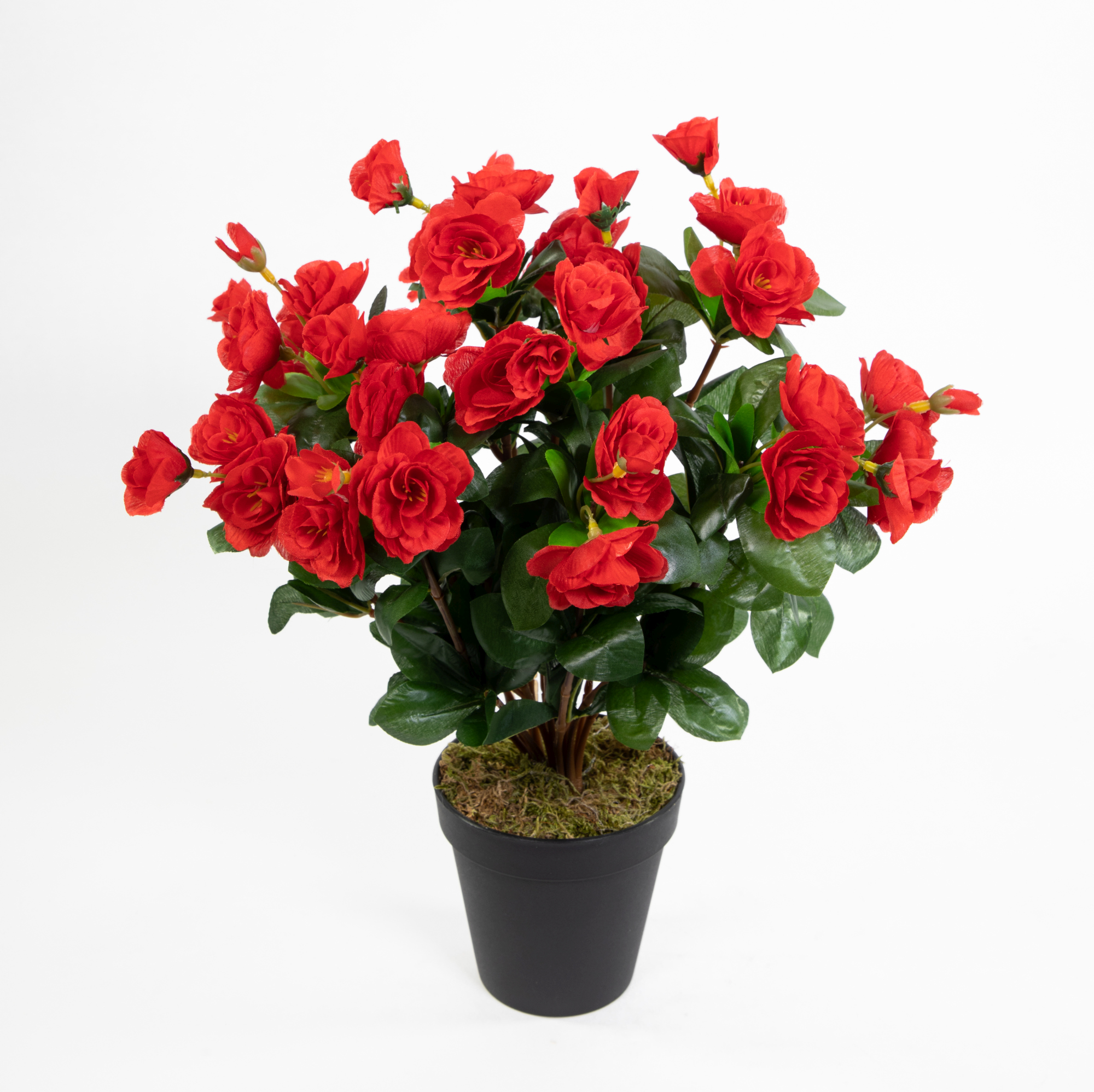 Azalee 40cm rot im Topf ZF Kunstpflanzen Kunstblumen künstliche Blumen