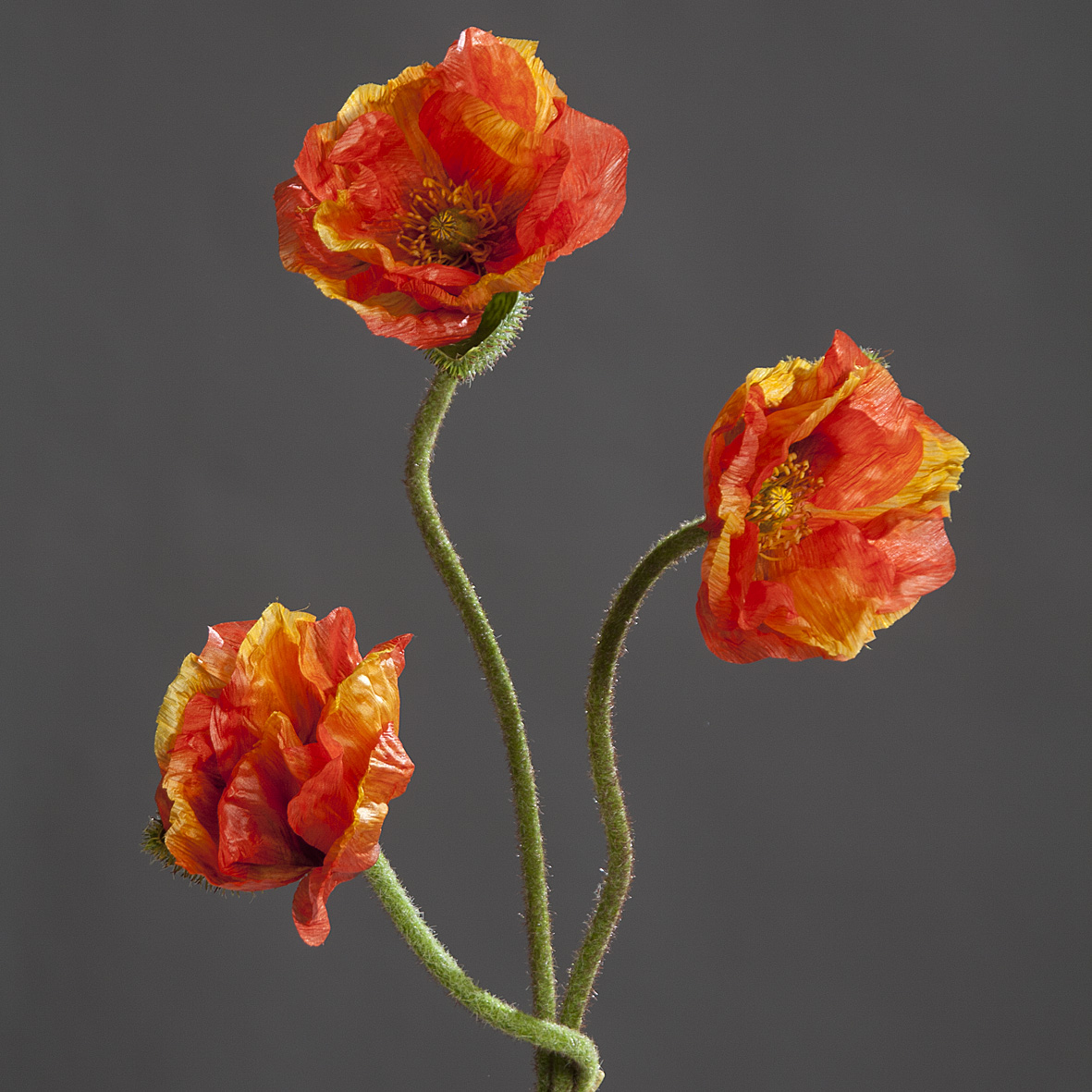 Mohnbund mit 3 Mohnzweigen 70cm orange DP Kunstblumen künstliche Blumen künstlicher Mohn Papaver