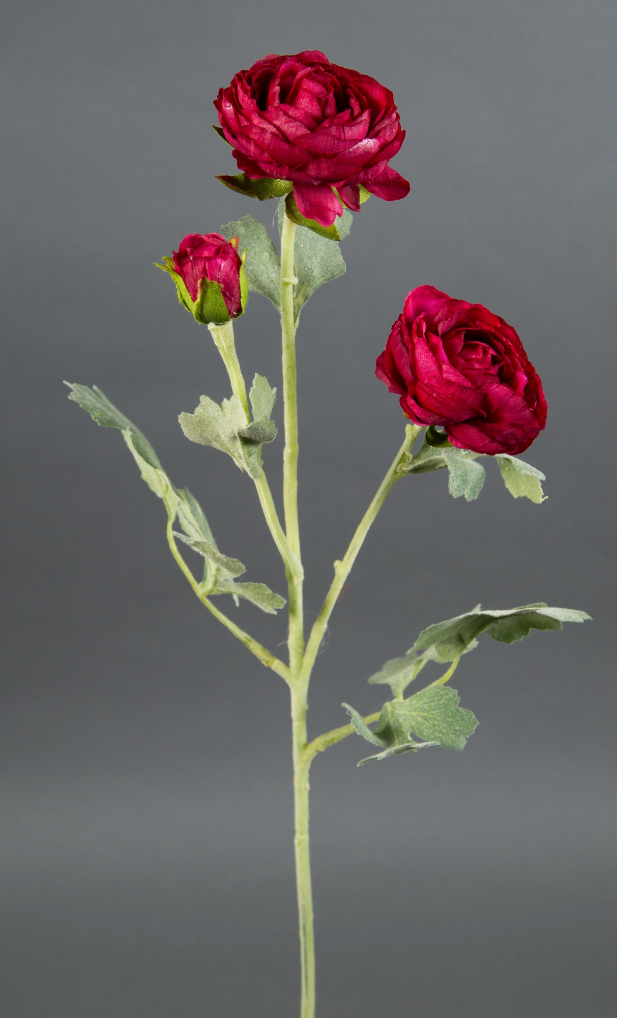 Ranunkelzweig 54cm fuchsia CG Kunstblumen künstliche Blumen Ranunkel