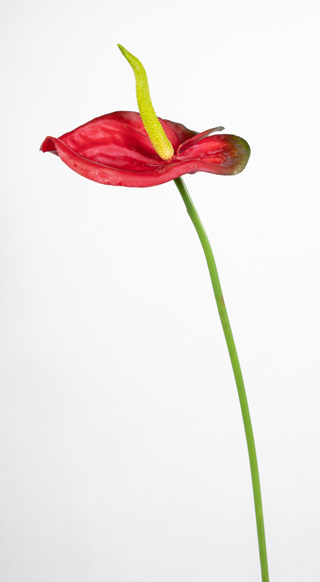 Anthurie Real Touch 78cm rot CG Kunstblumen künstliche Blumen Seidenblumen