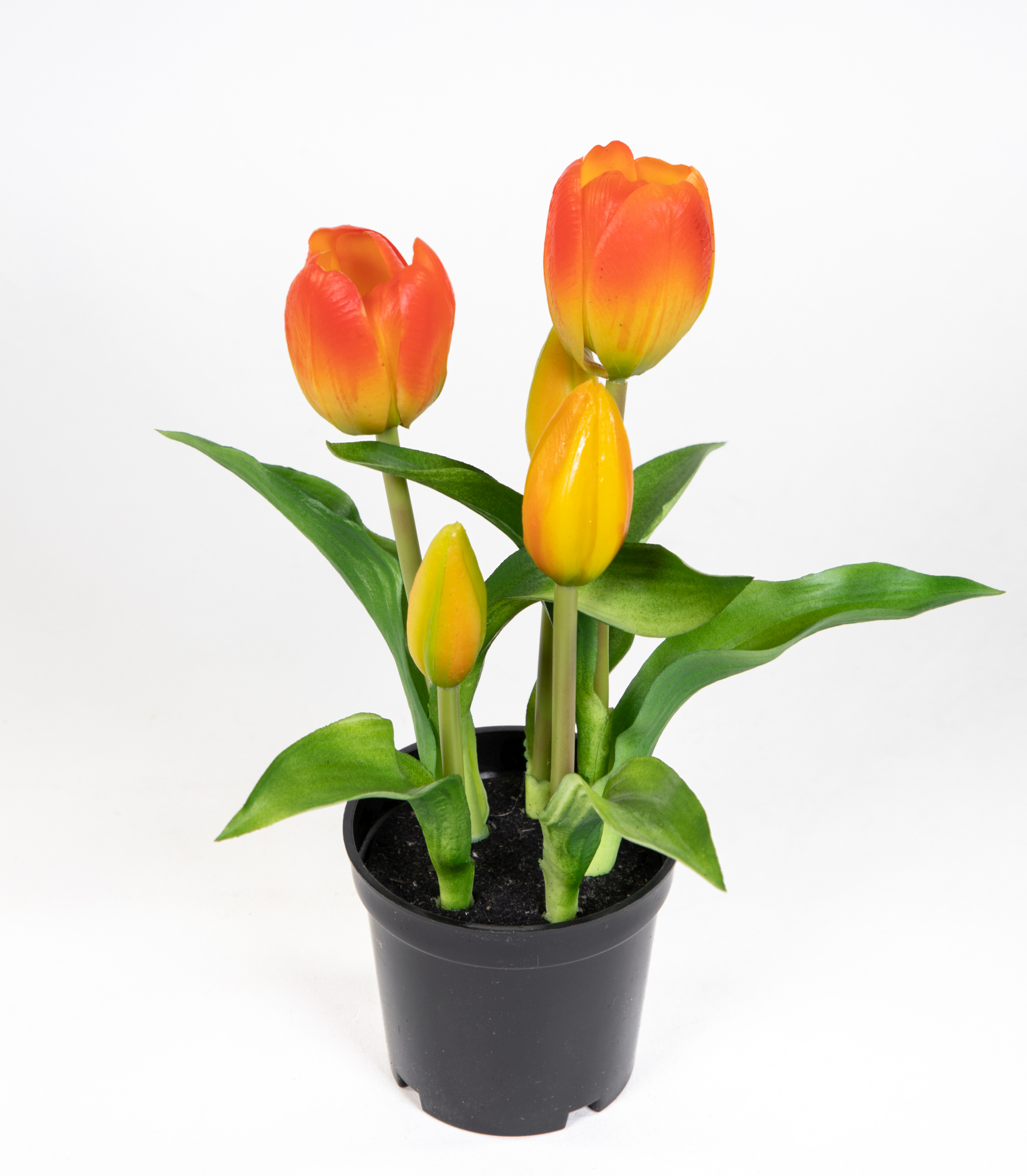 Tulpen Real Touch 24cm orange im Topf ZF Kunstpflanzen künstliche Pflanzen Tulpentopf
