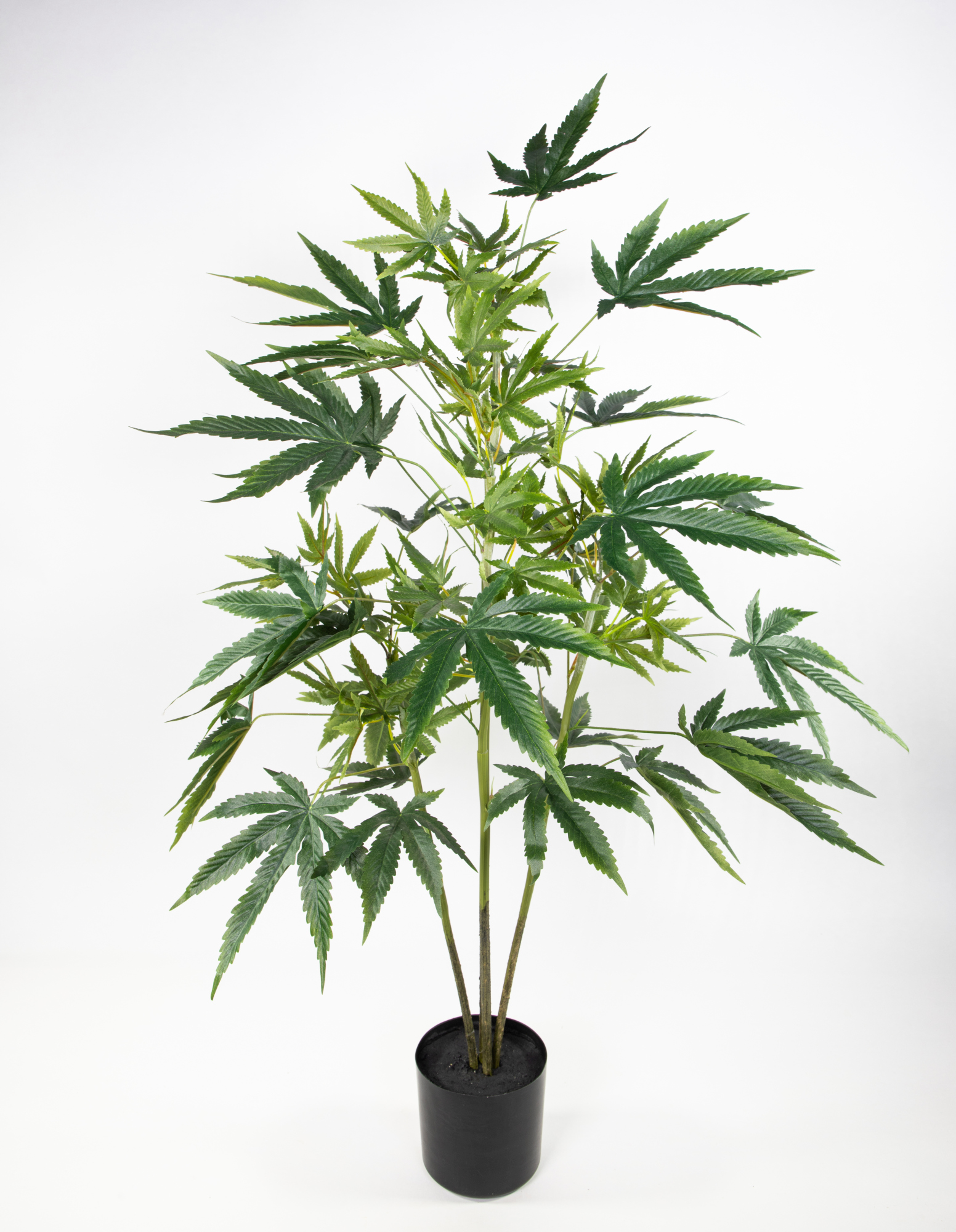 Hanfpflanze / Cannabispflanze 100cm GA künstlicher Baum Kunstbaum Kunstpflanzen Hanf Cannabis Weed