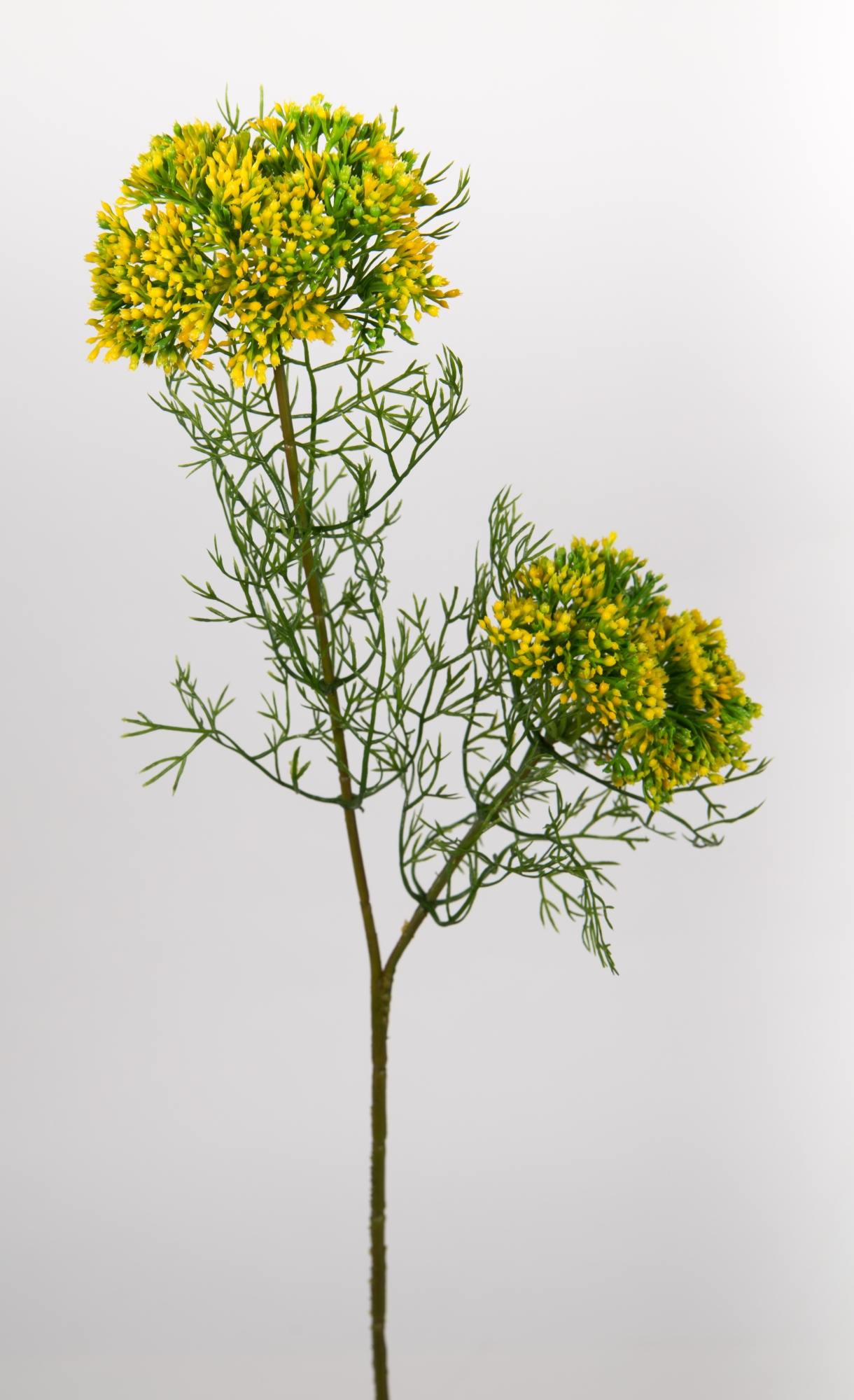 Dillzweig mit Blüten 56cm gelb CG Kunstblumen künstliche Blumen Kunstzweig künstlicher Zweig Kunstpf