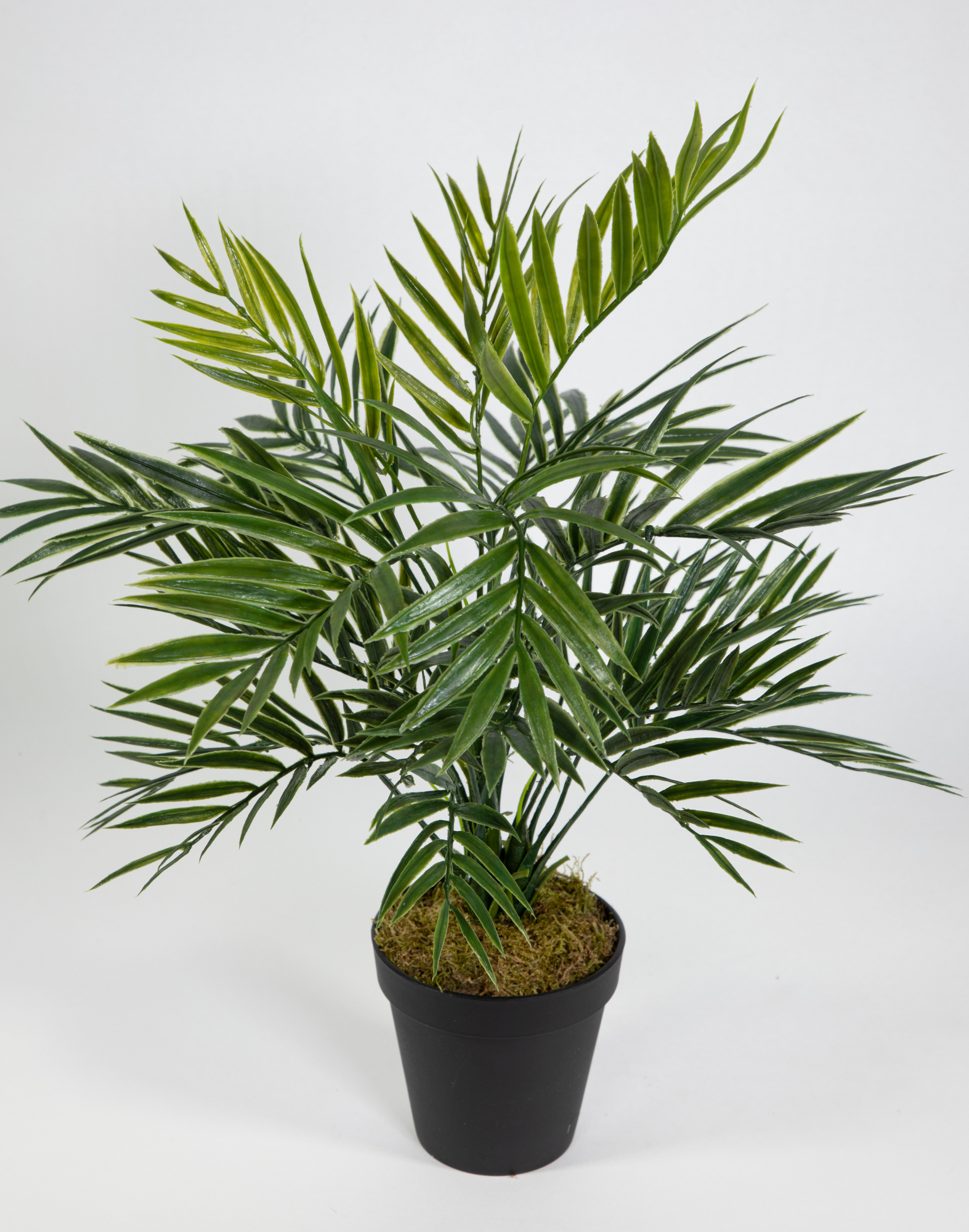 Zimmerpalme / Palmenbusch 42cm im Topf GA Kunstpflanzen Kunstpalmen künstliche Palme Dekopalme
