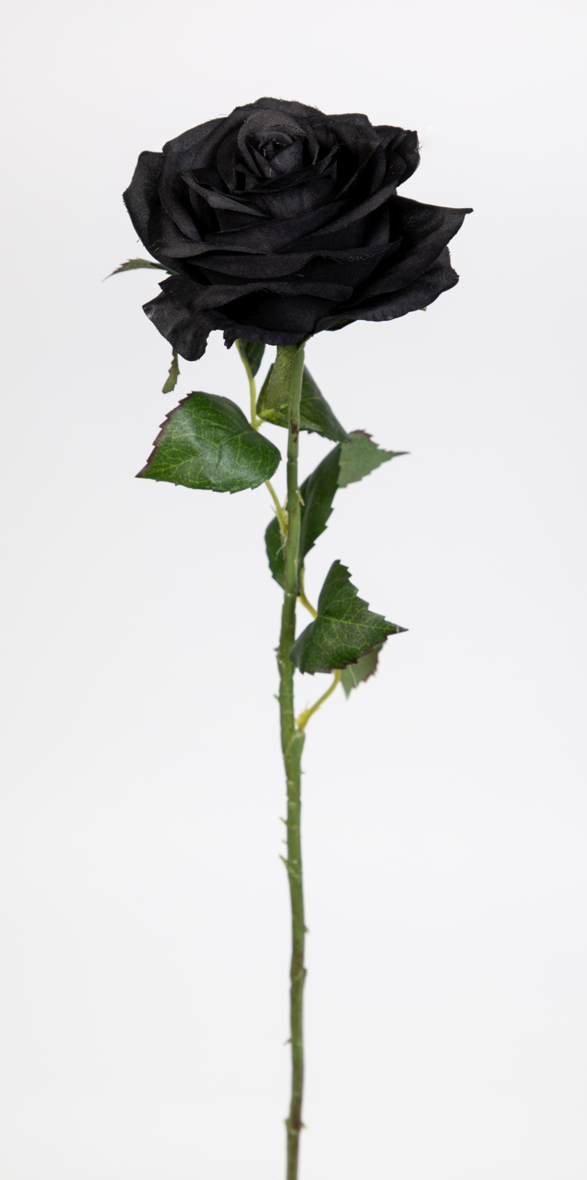 Rose 54cm schwarz / anthrazit CG Kunstblumen künstliche Rose Rosen Blumen Seidenblumen