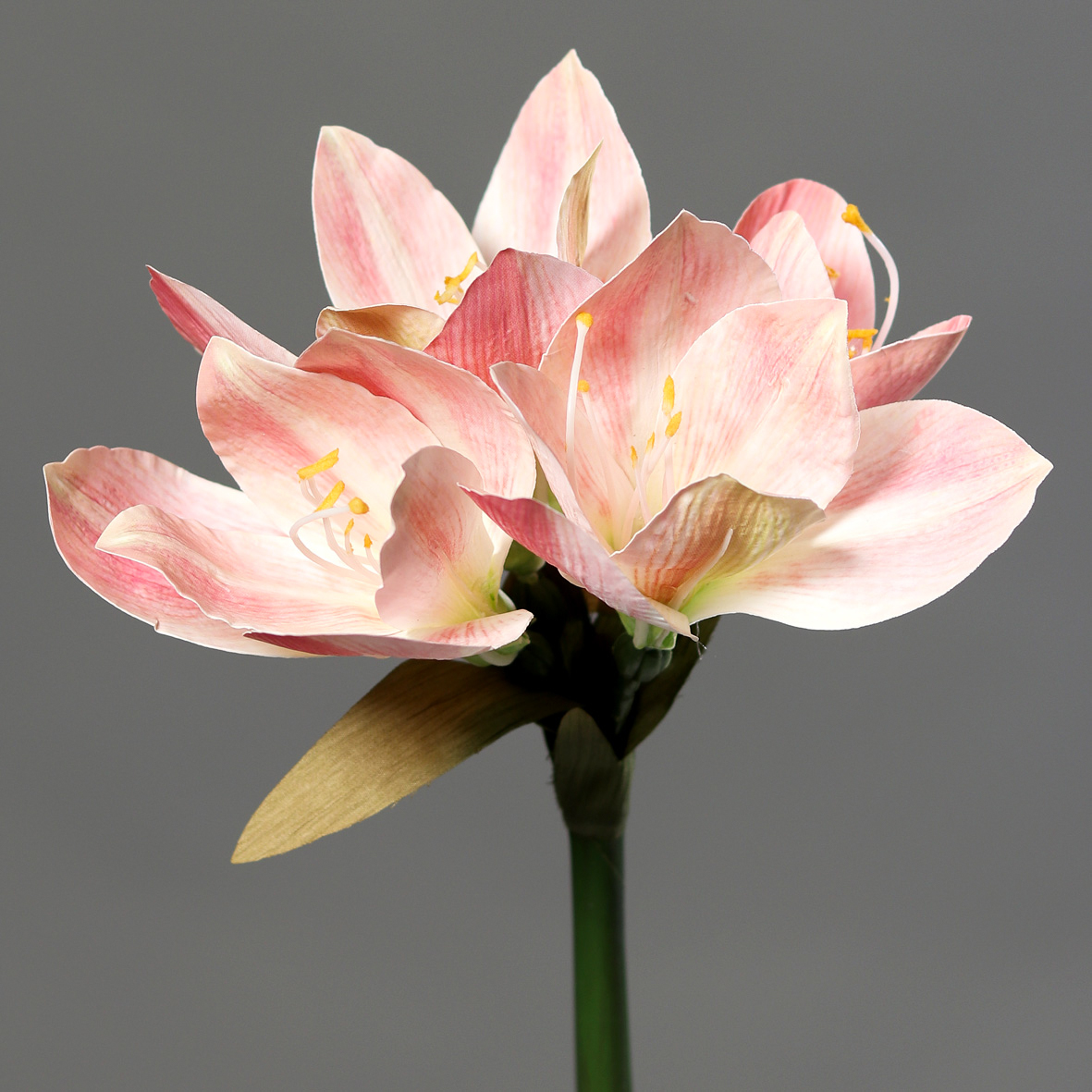 Amaryllis Real Touch 36cm rosa-creme DP Kunstblumen künstliche Blumen Pflanzen