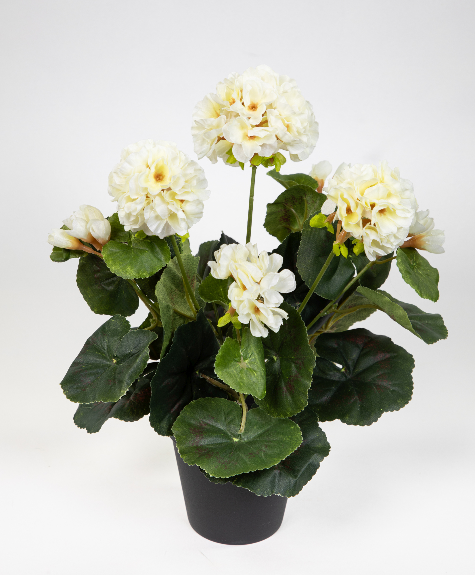 Künstliche Geranie im Topf 35cm weiß-creme LM Kunstblumen künstliche Pelargonium Blumen Pflanzen