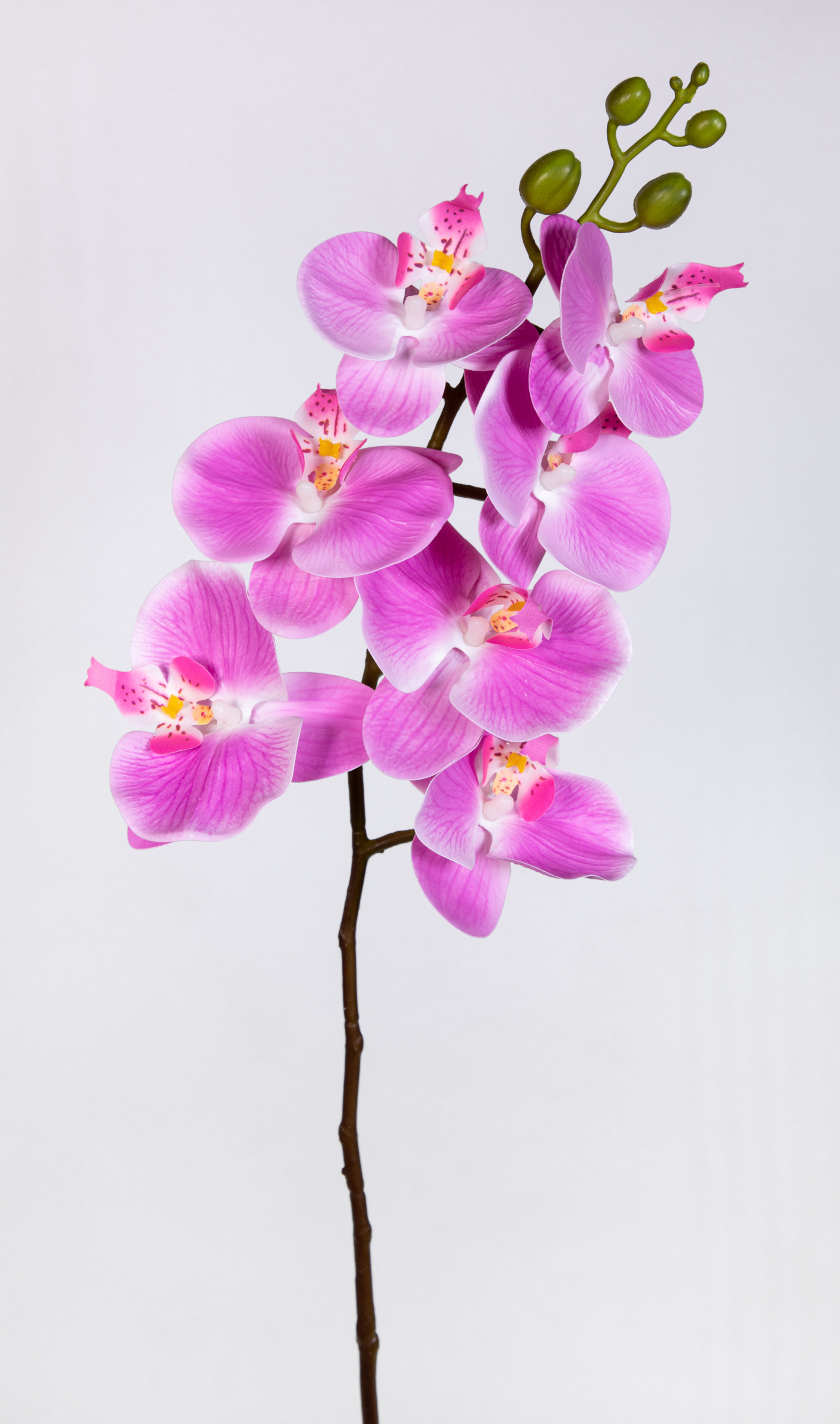 Orchideenzweig Real Touch 94cm rosa-pink ZJ Kunstblumen künstliche Orchidee Orchideen Blumen
