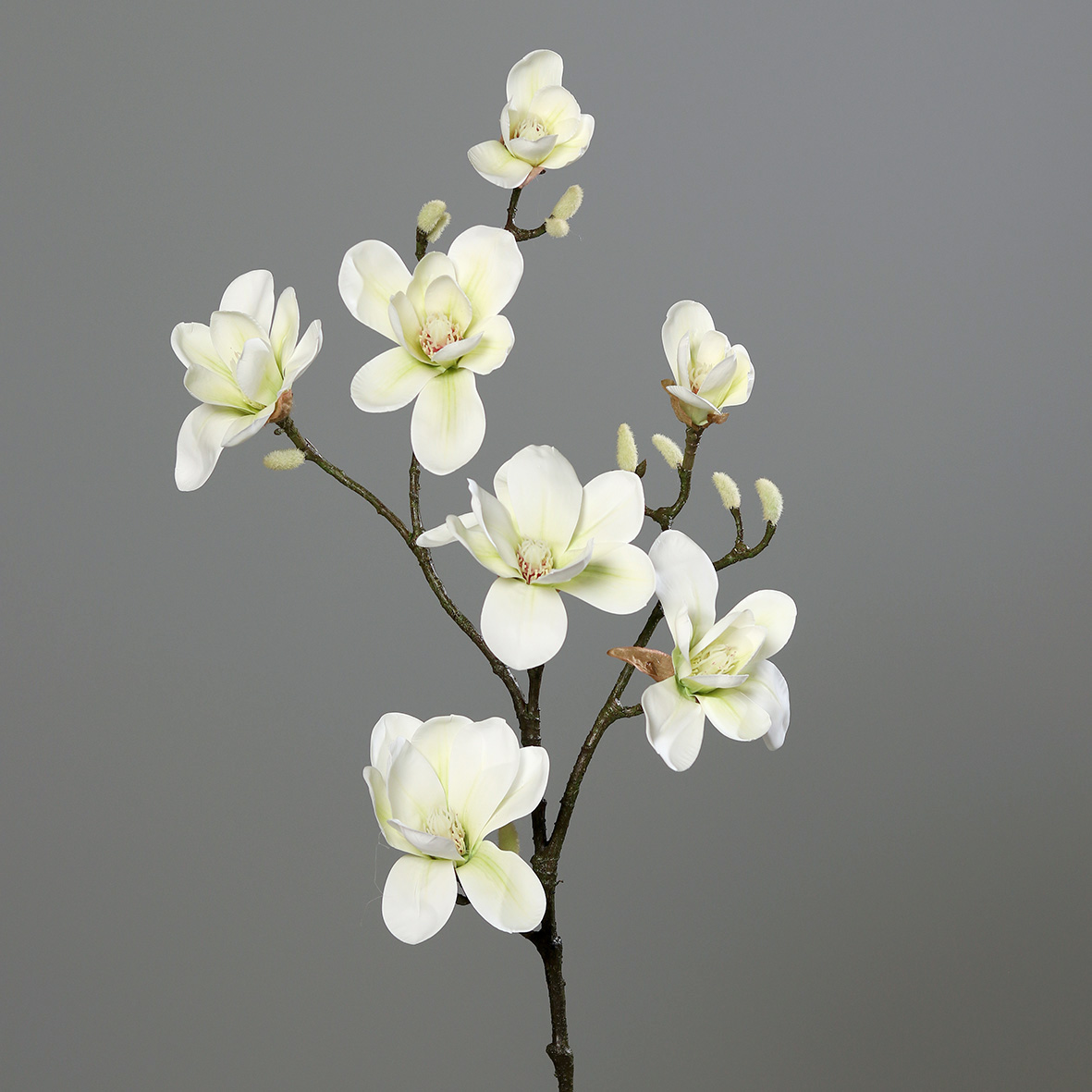 Magnolienzweig Real Touch 100x30cm creme-weiß DP Kunstblumen künstliche Blumen Magnolie Magnolia