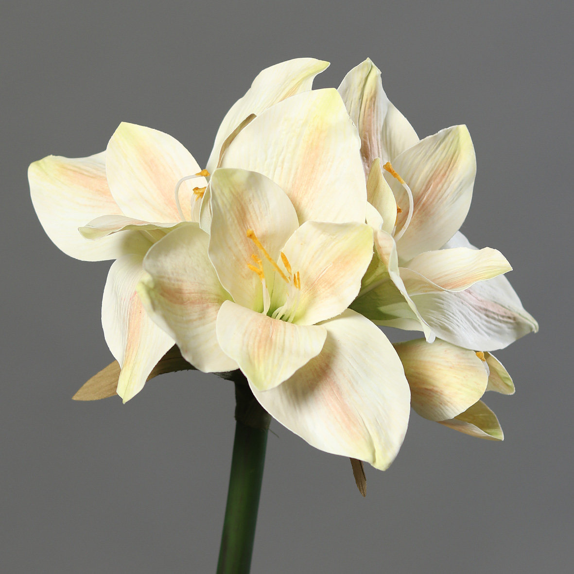 Amaryllis Real Touch 58cm peach-creme DP Kunstblumen künstliche Blumen Pflanzen
