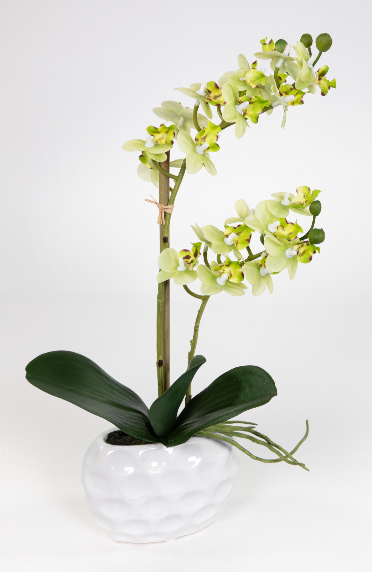 Orchidee Real Touch 38x22cm grün in weißer Keramikvase GA Kunstblumen künstliche Blumen