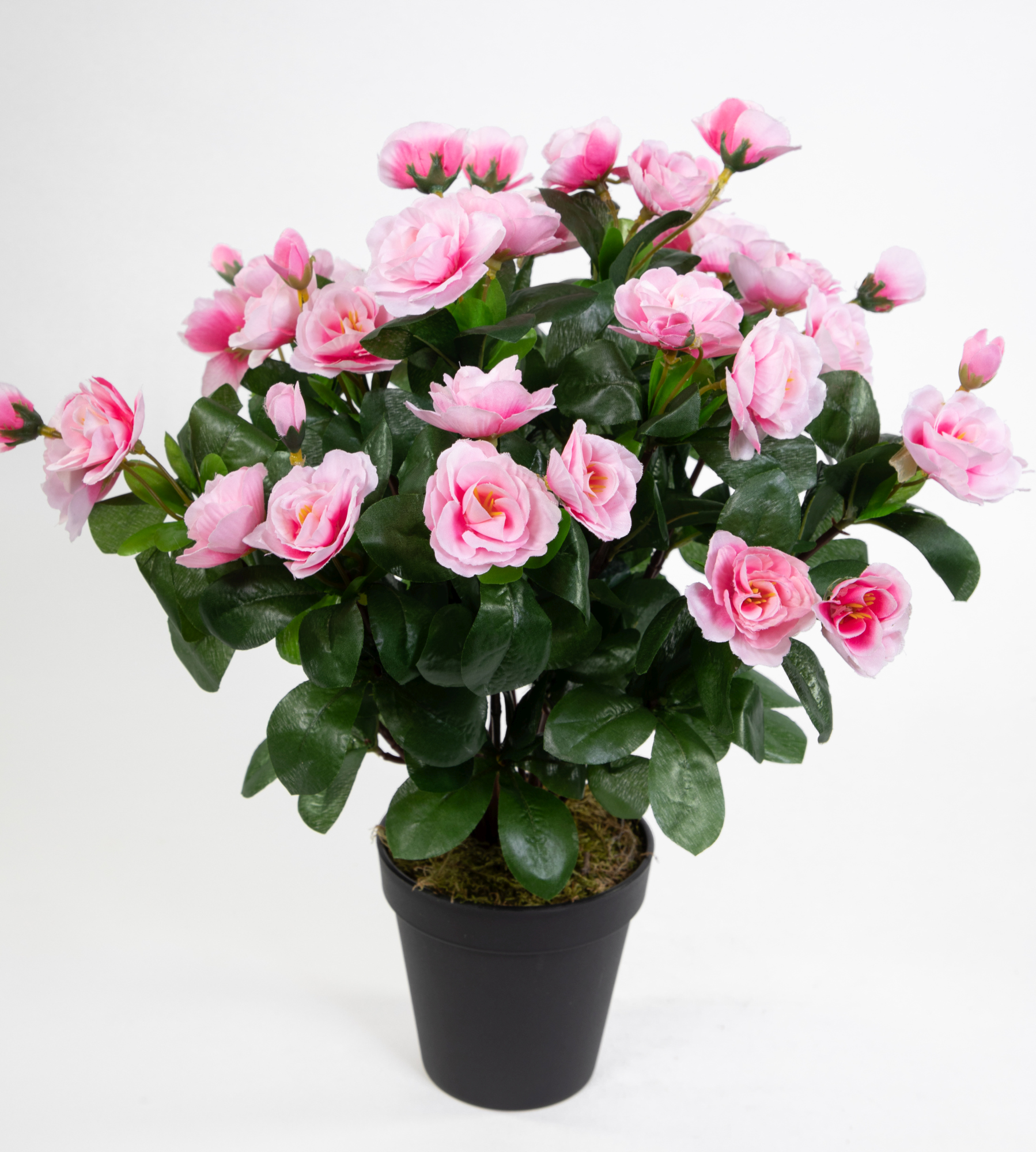 Azalee 40cm rosa-pink im Topf ZF Kunstpflanzen Kunstblumen künstliche Blumen