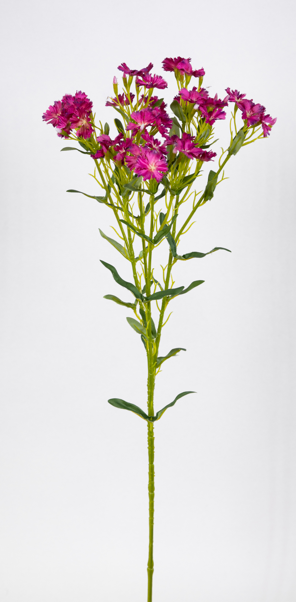 Kartäuser-Nelke / Dianthus 74cm fuchsia CG Kunstblumen künstliche Blumen Nelkenzweig
