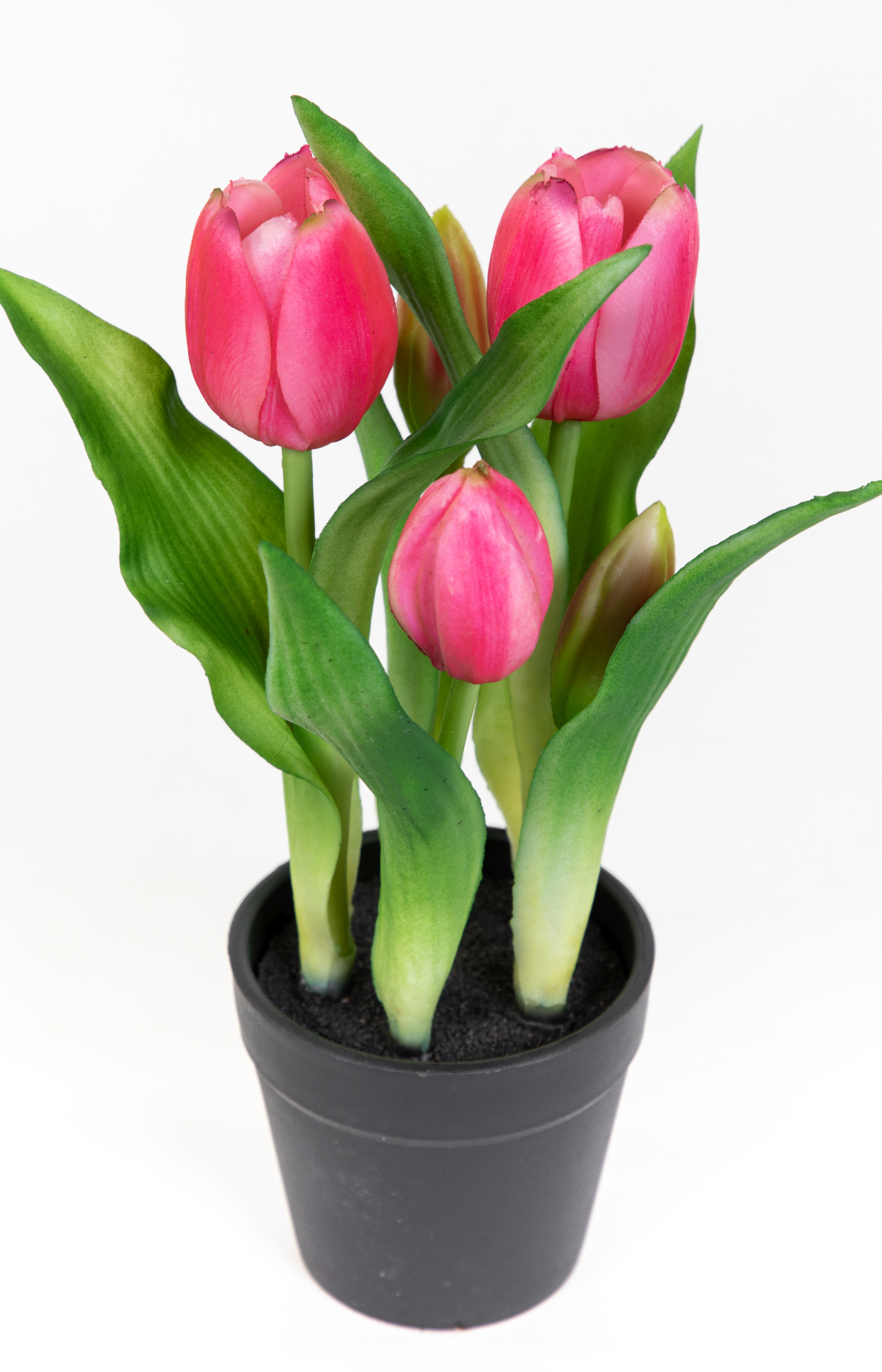Tulpen Real Touch 24cm rosa-pink im Topf ZF Kunstpflanzen künstliche Pflanzen Tulpentopf