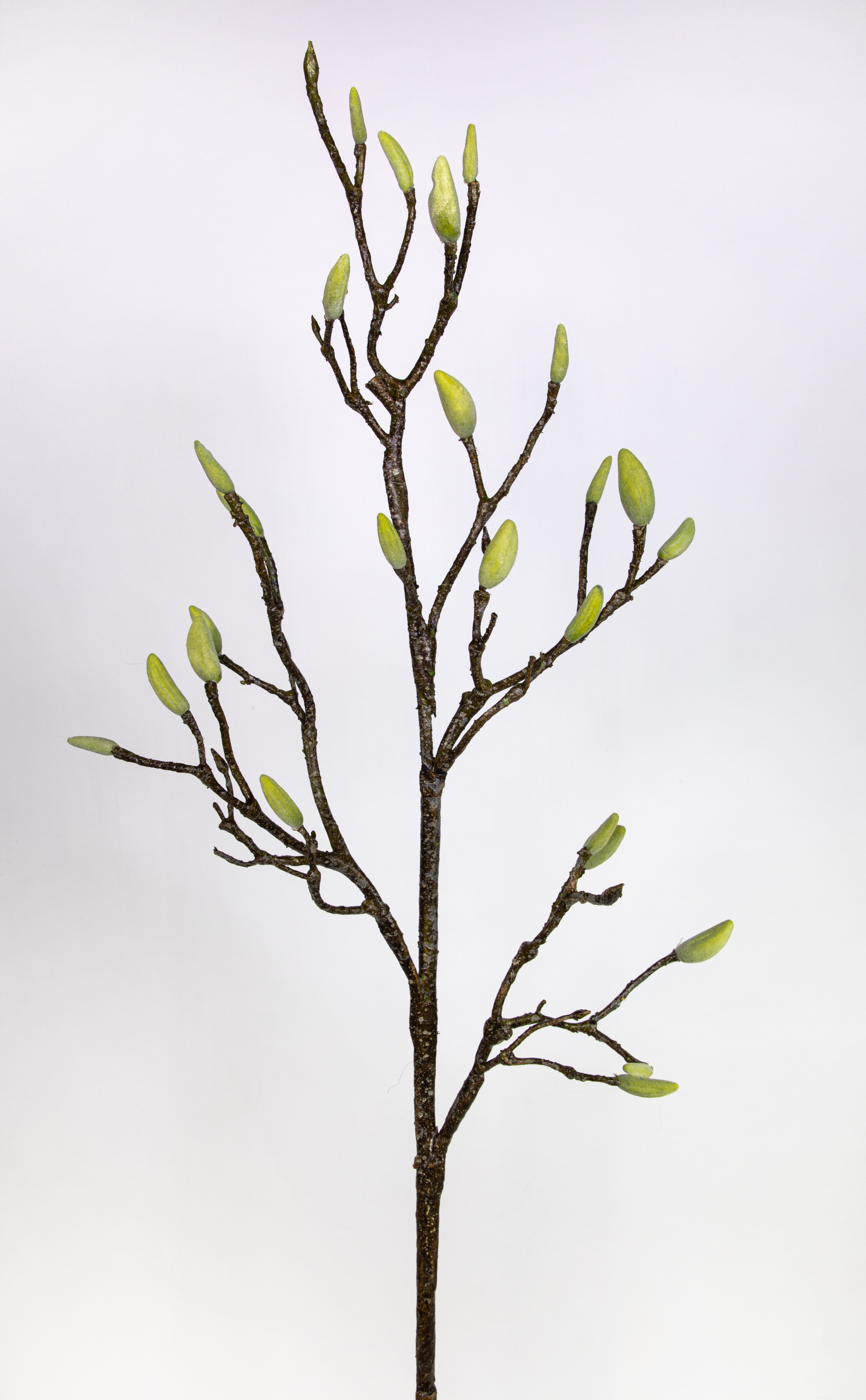 Magnolienzweig / Knospenzweig 118cm CG künstliche Magnolie Knospenast künstlicher Ast Magnolia