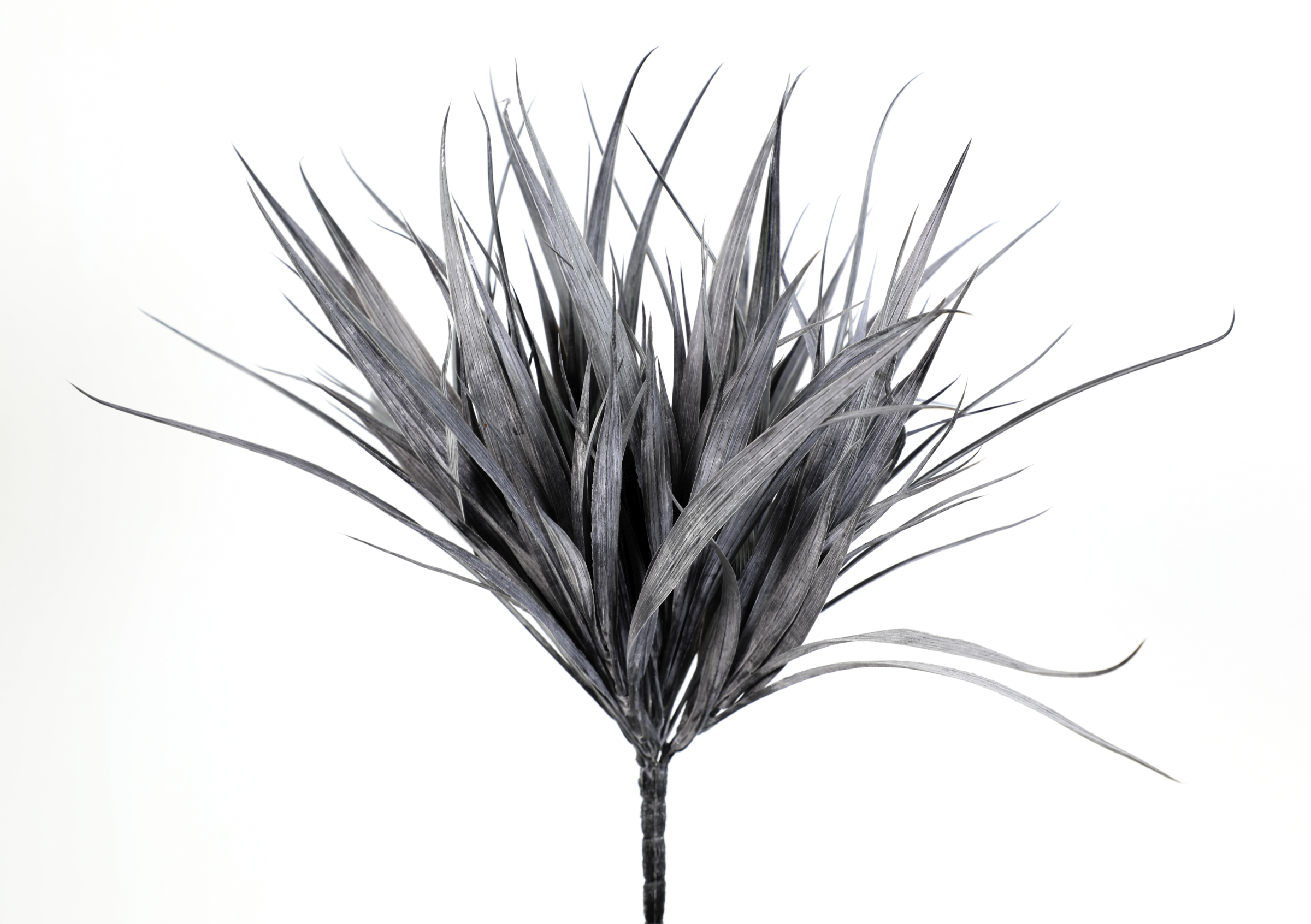 Grasbusch 34cm schwarz bemehlt -ohne Topf- CG Kunstpflanzen künstliches Gras Kunstgras Dekogras