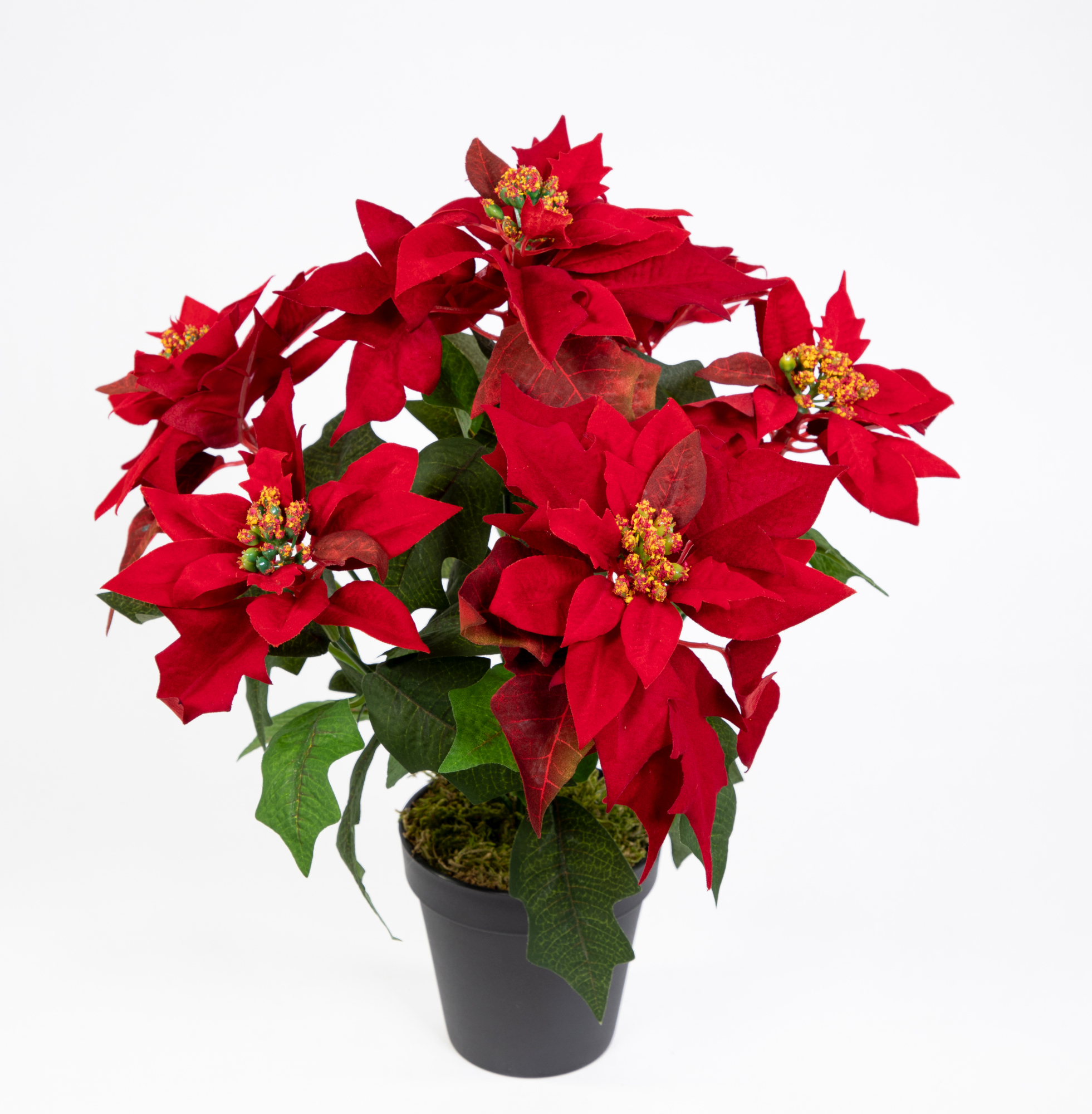 Weihnachtsstern Nature 38cm samt-rot im Topf PM künstliche Blume Kunstpflanze Kunstblumen Poinsettie