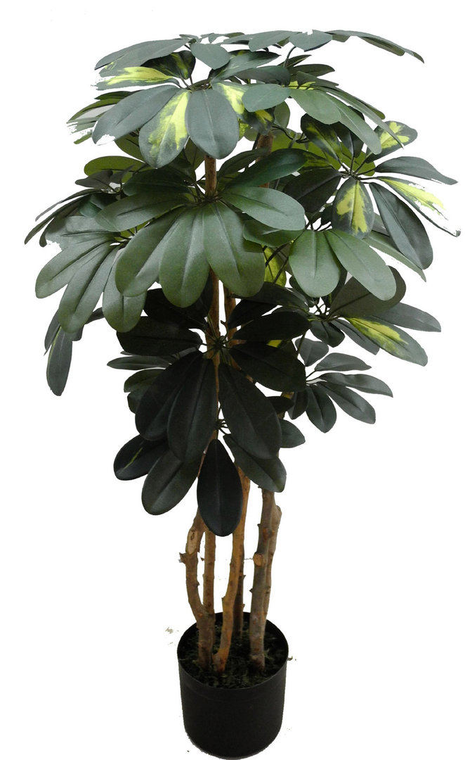 Schefflera 90cm grün / grün-gelb DA künstlicher Baum Kunstbaum Kunstpflanzen künstliche Pflanze