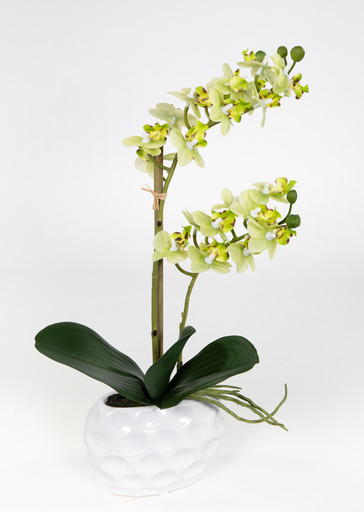 in Blumen Touch grün Orchidee 38x22cm künstliche Kunstblumen GA Real weißer Keramikvase