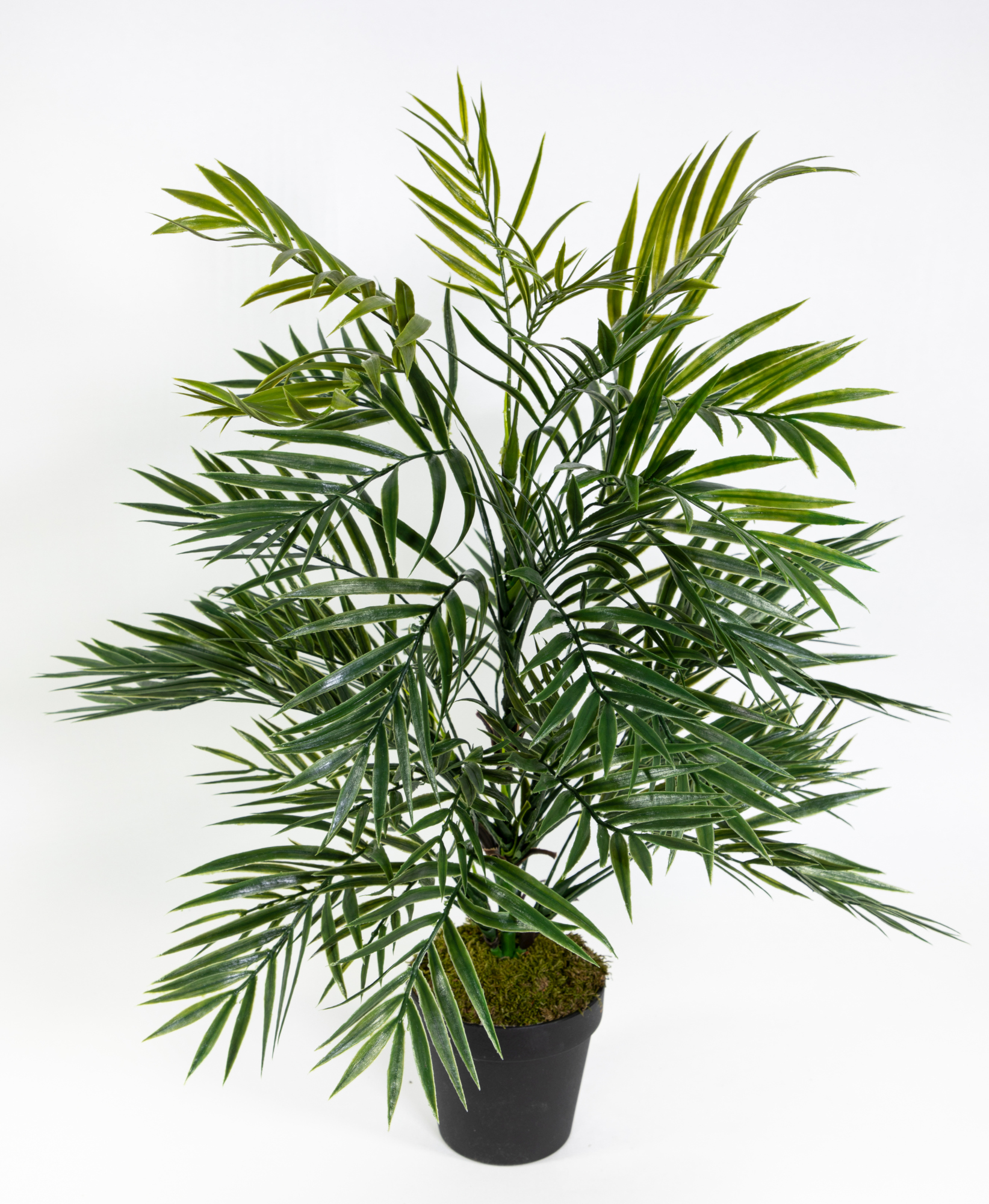 Zimmerpalme / Palmenbusch 60cm im Topf GA Kunstpflanzen Kunstpalmen künstliche Palme Dekopalme